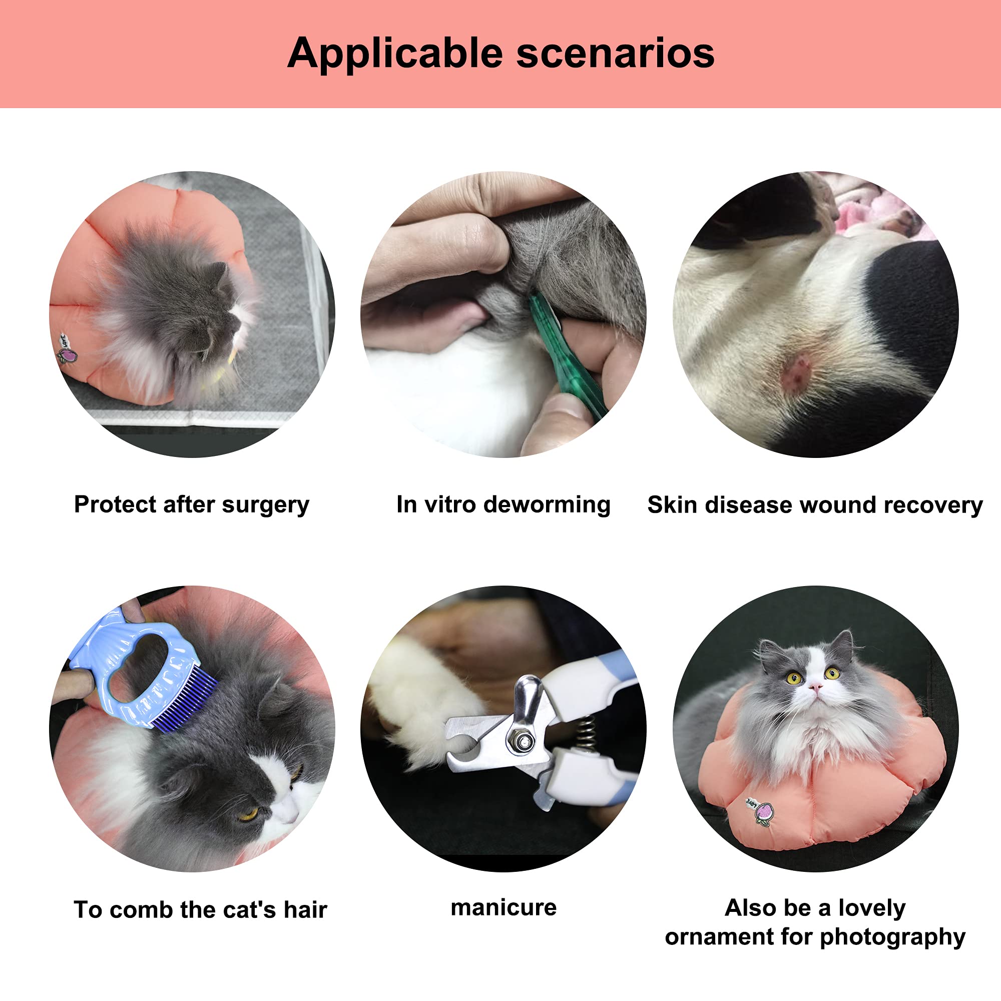 HiDREAM collier-cone chat récupération — soutien pendant le soin.