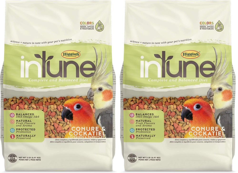 Higgins Intune para conure y cockatiel, alimento colorido con probióticos protegidos.