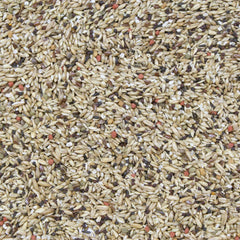 Higgins Vita Seed: probióticos protegidos y DHA para la inmunidad del canario