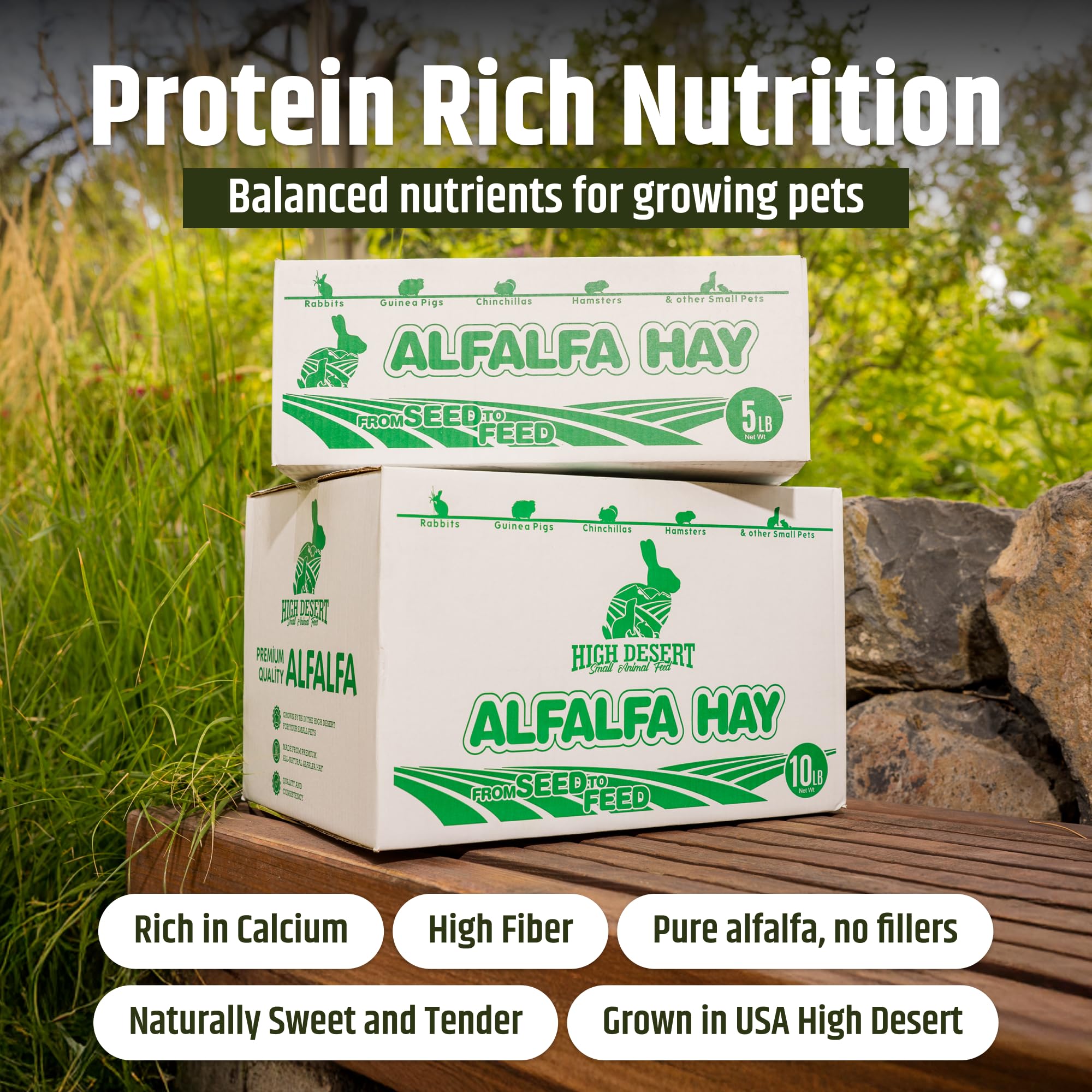 High Desert Alfalfa Hay aroma fresco para mascotas diarias.