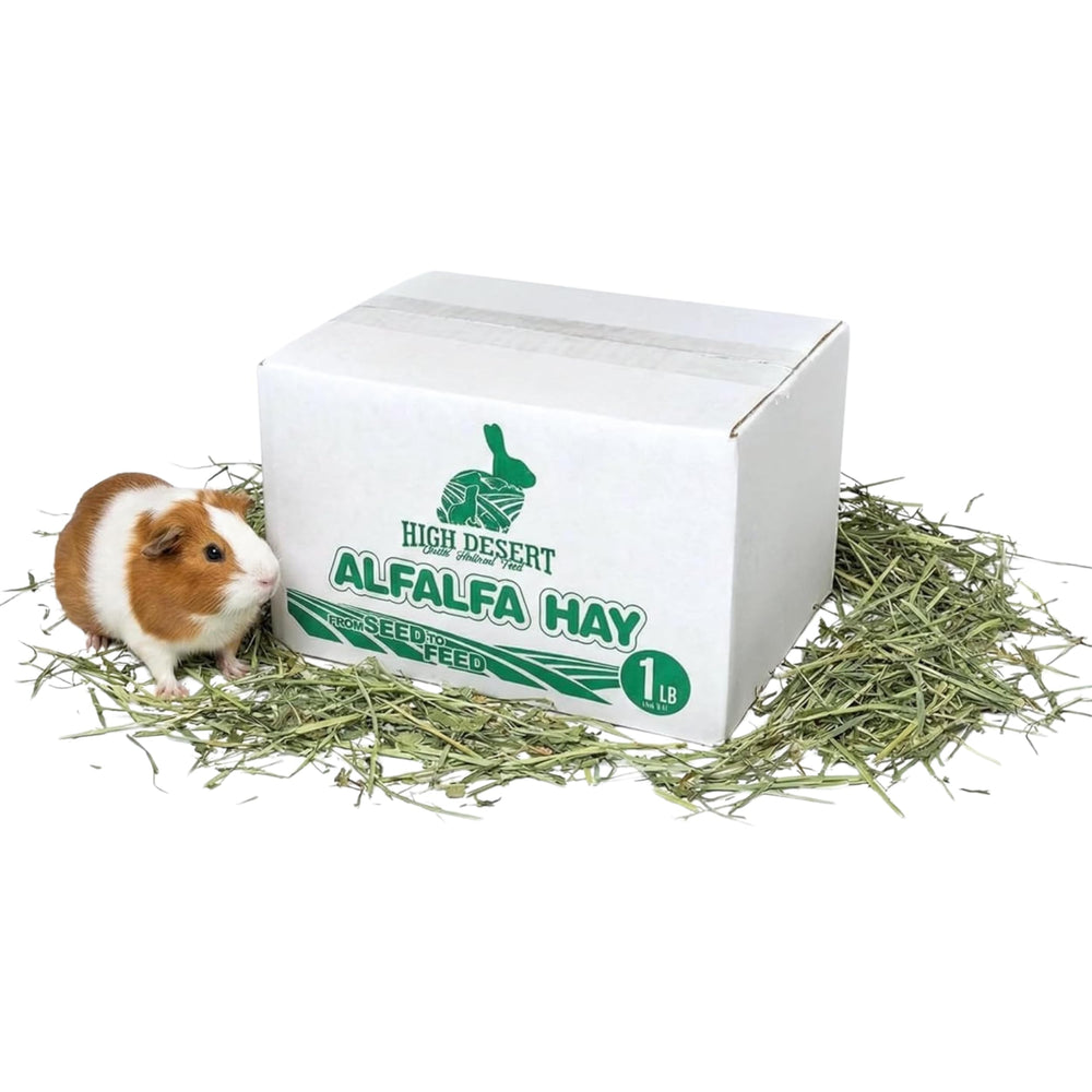 High Desert Alfalfa Heno para jóvenes: proteína y fibra para crecimiento de conejos y cobayas