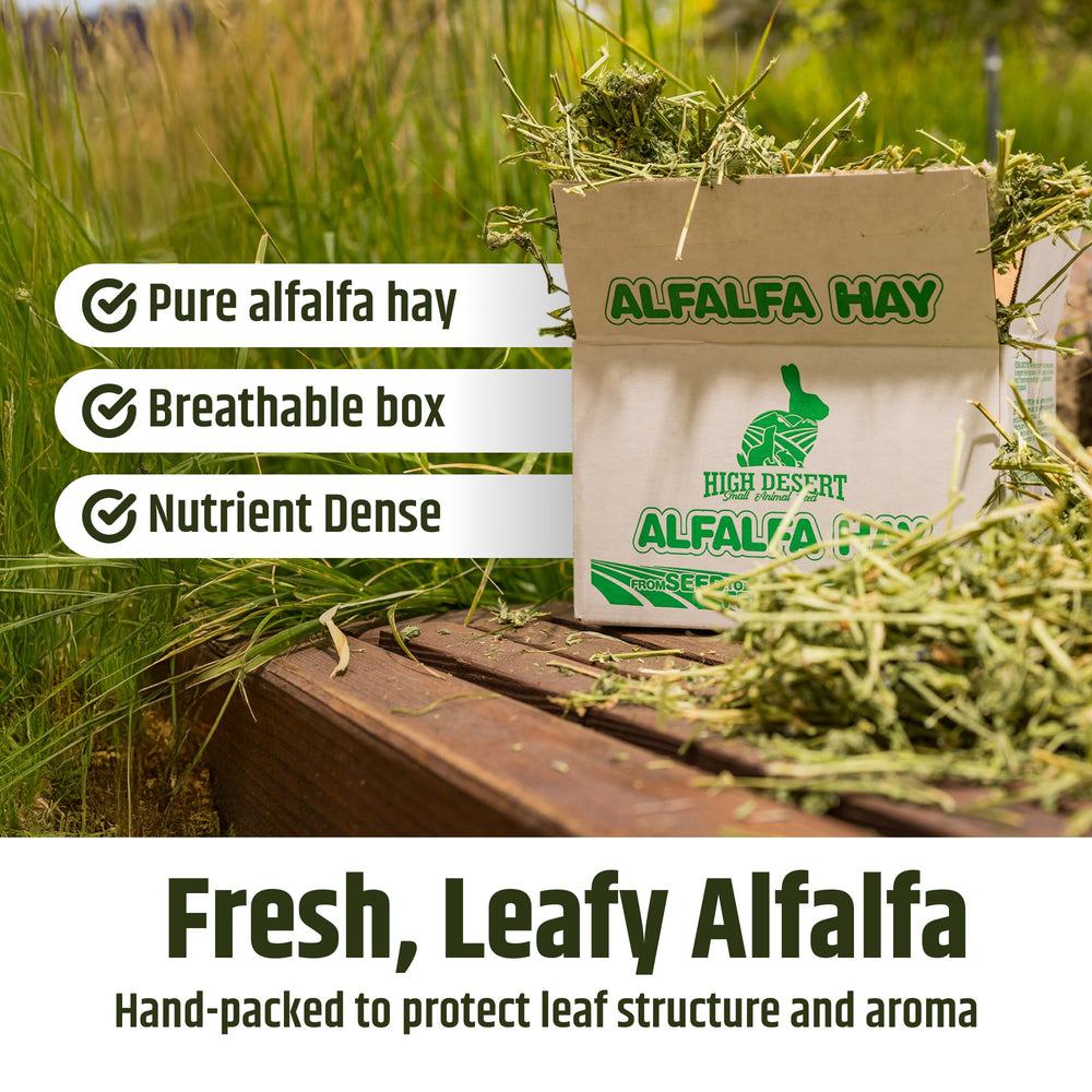 High Desert Alfalfa Hay para conejos, uso diario.