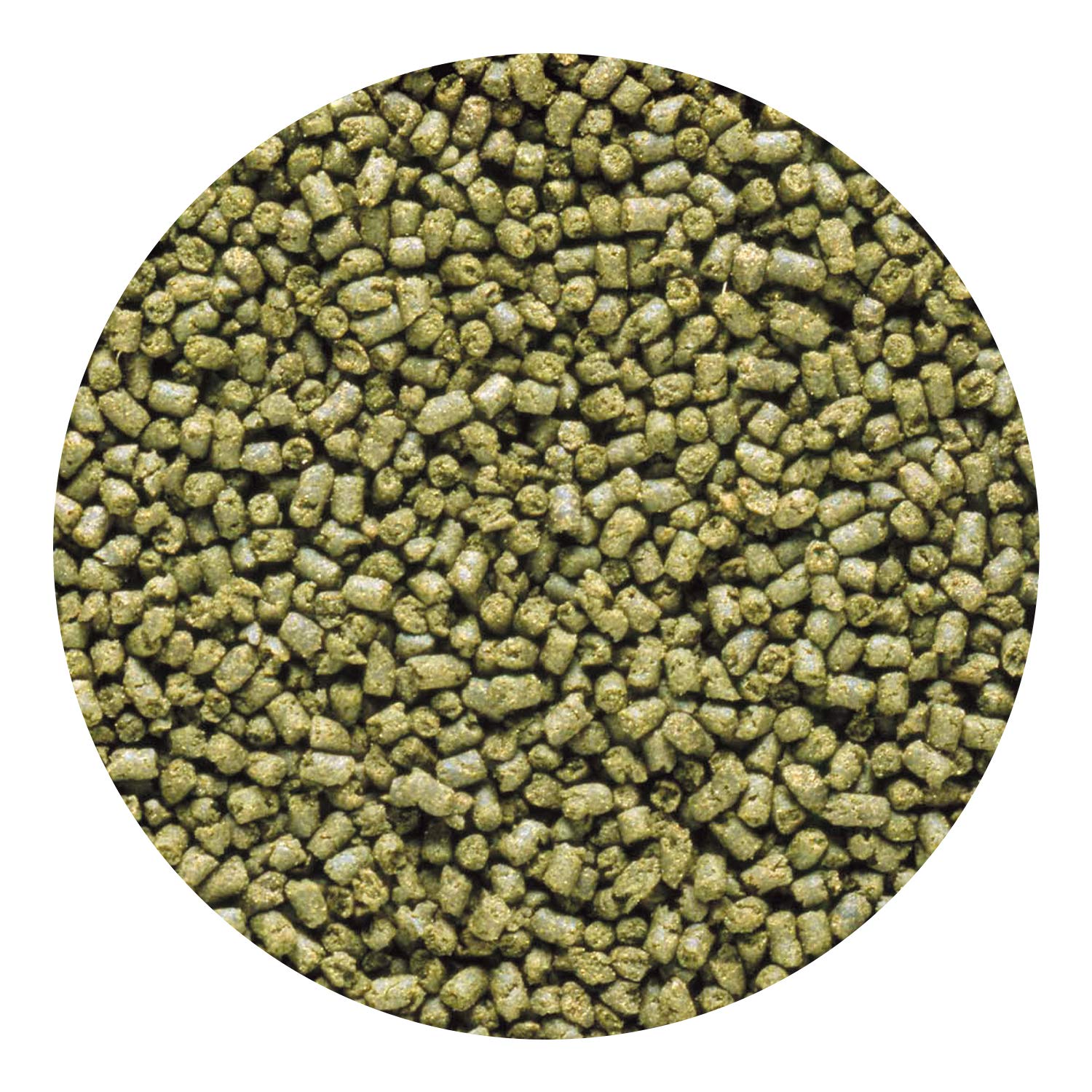 Detalle del pellet Hikari 042221, textura y tamaño para consumo.