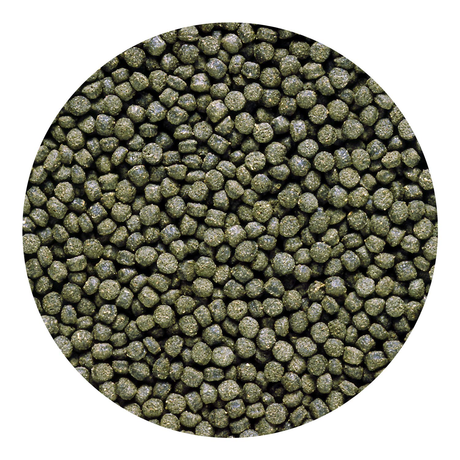 Hikari Excel muestra color natural en cíclidos gracias a la Spirulina.