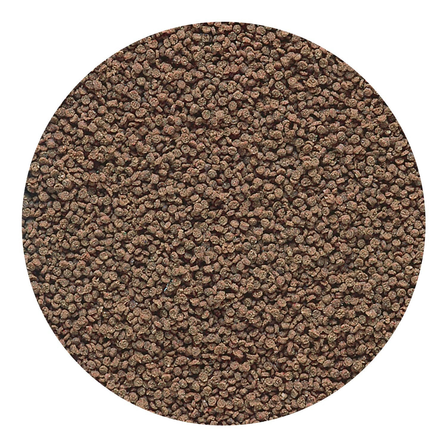 Hikari Micro Wafers: aptos para tetras, livebearers, cíclidos y bagres.