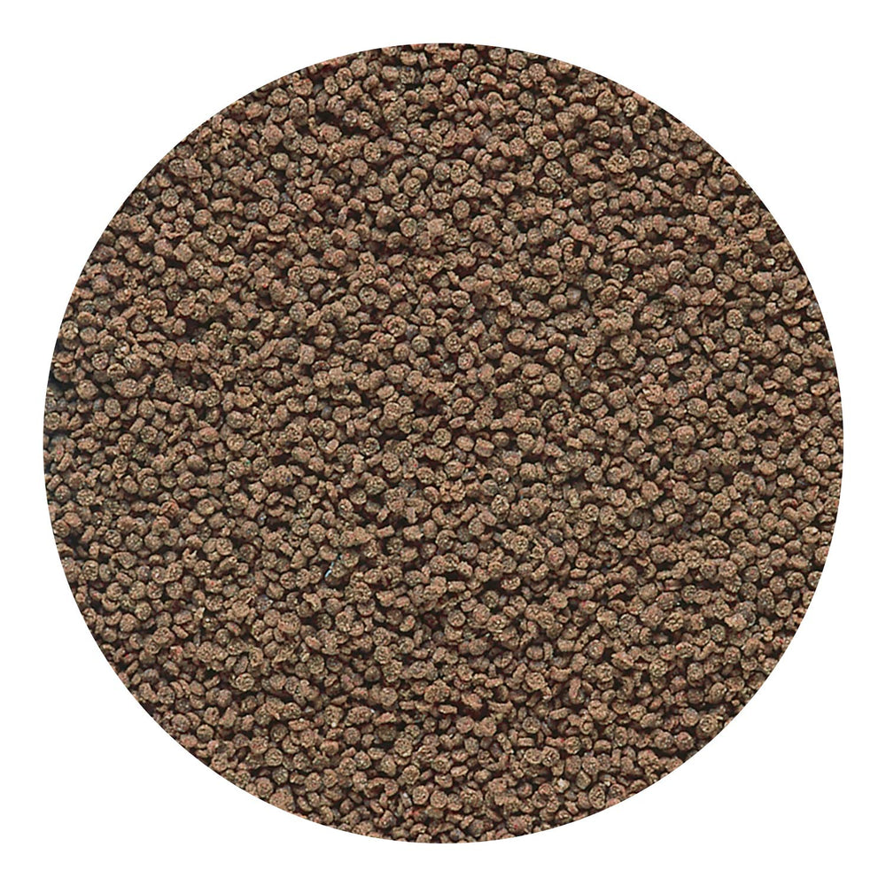 Hikari Micro Wafers: aptos para tetras, livebearers, cíclidos y bagres.