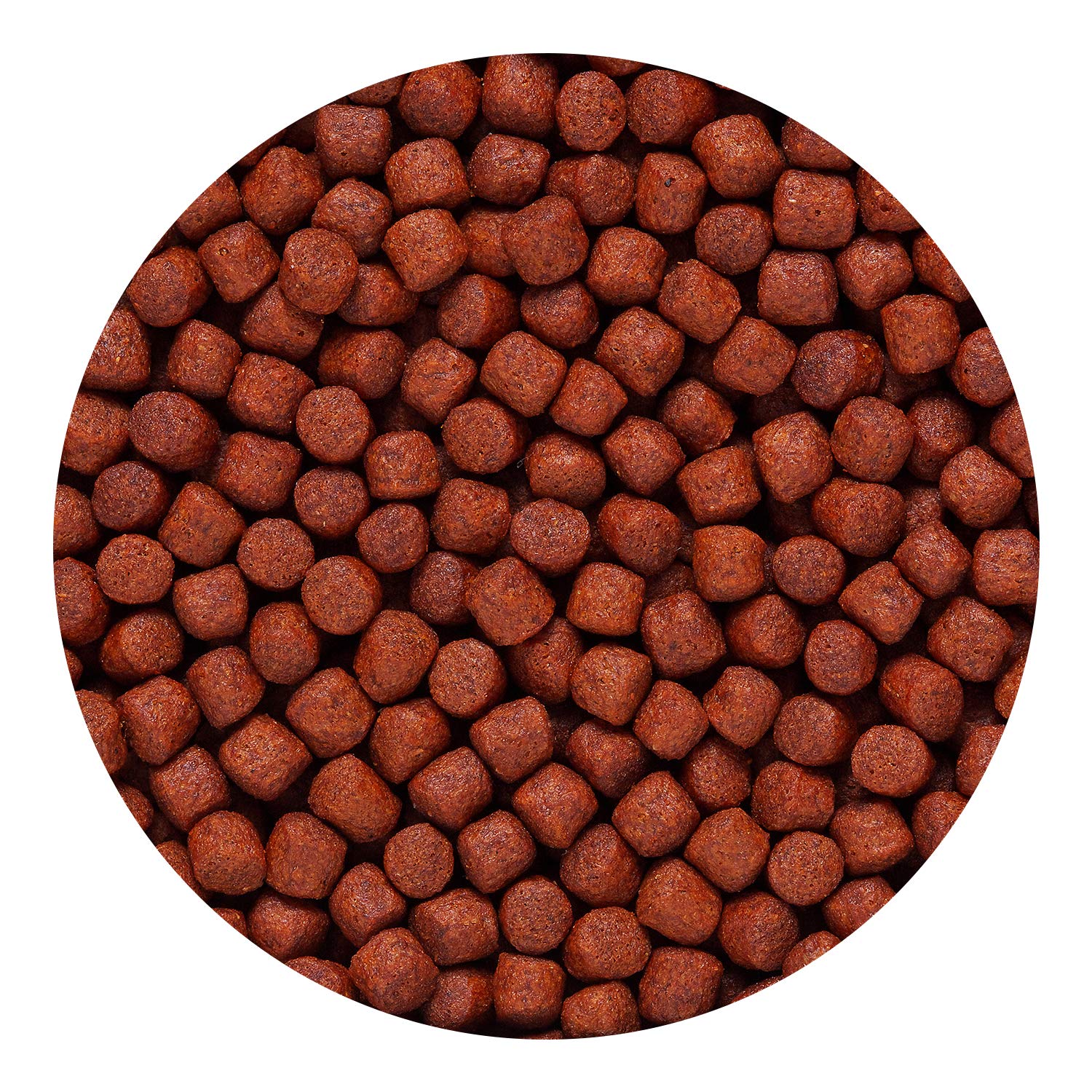 Hikari Blood Red Parrot+ microorganismos beneficiosos para crecimiento