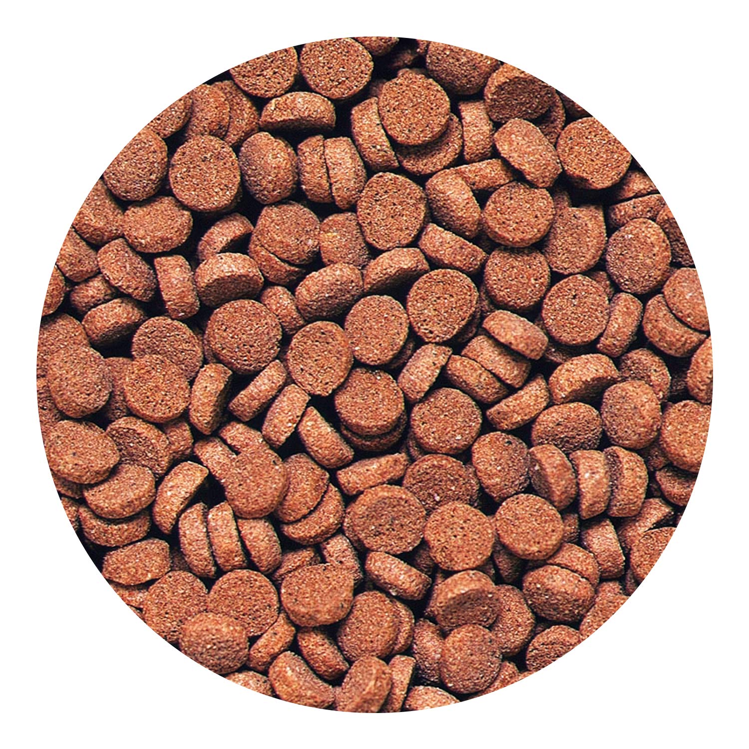 Pellets Hikari carnívoros hundidos absorben agua y adoptan textura similar a pez vivo