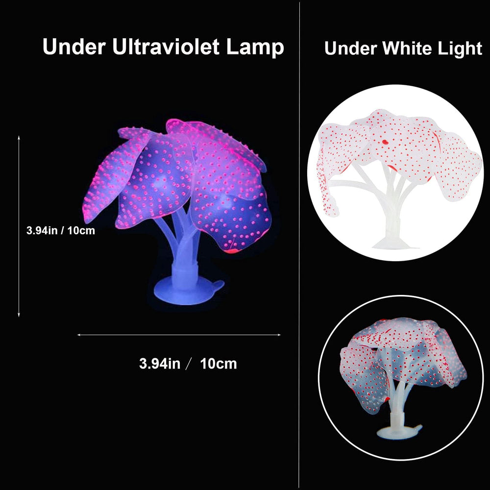 HIKTIQIW coral loto fluorescente brilla bajo iluminación adecuada