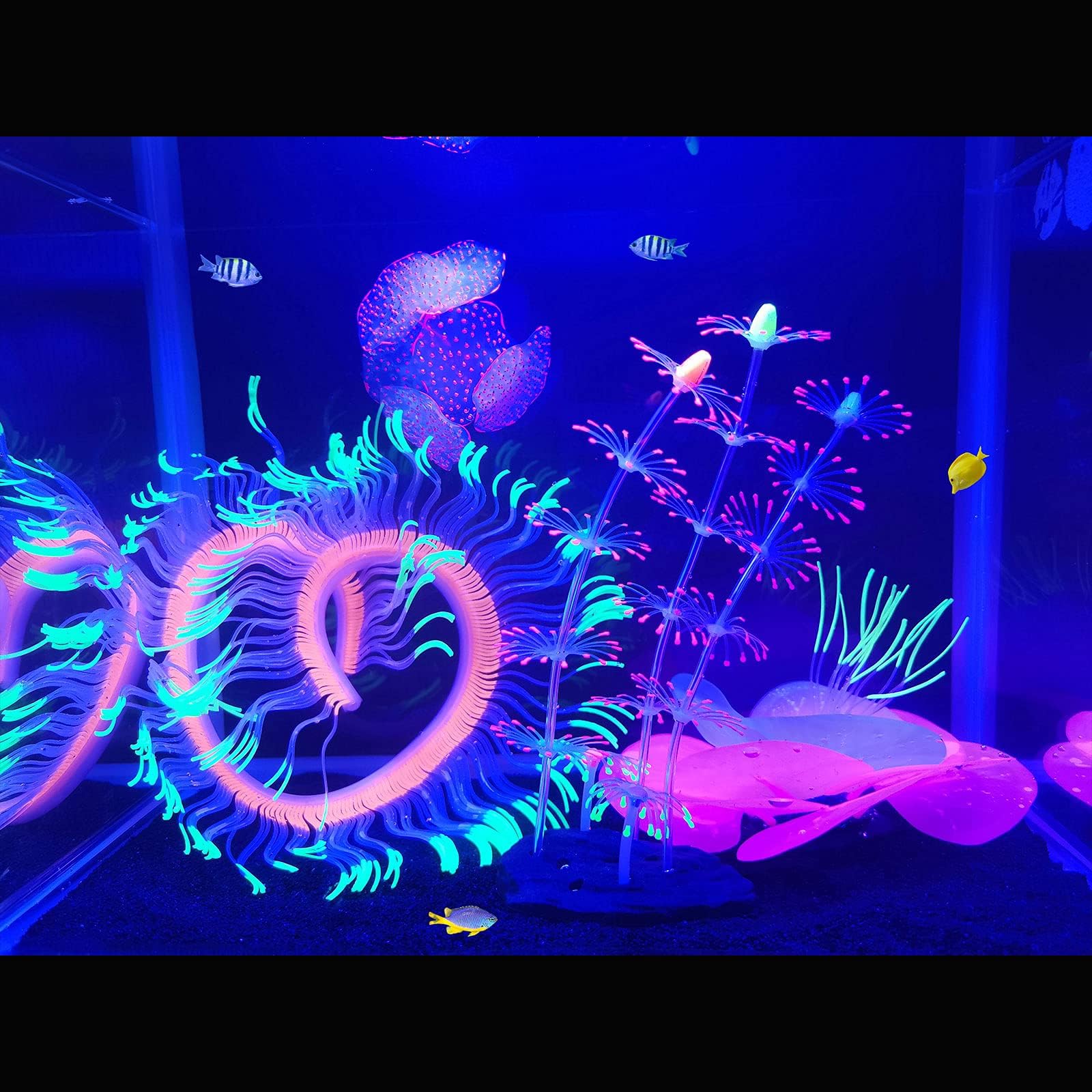 HIKTIQIW coral rama fluorescente para acuario con ventosas