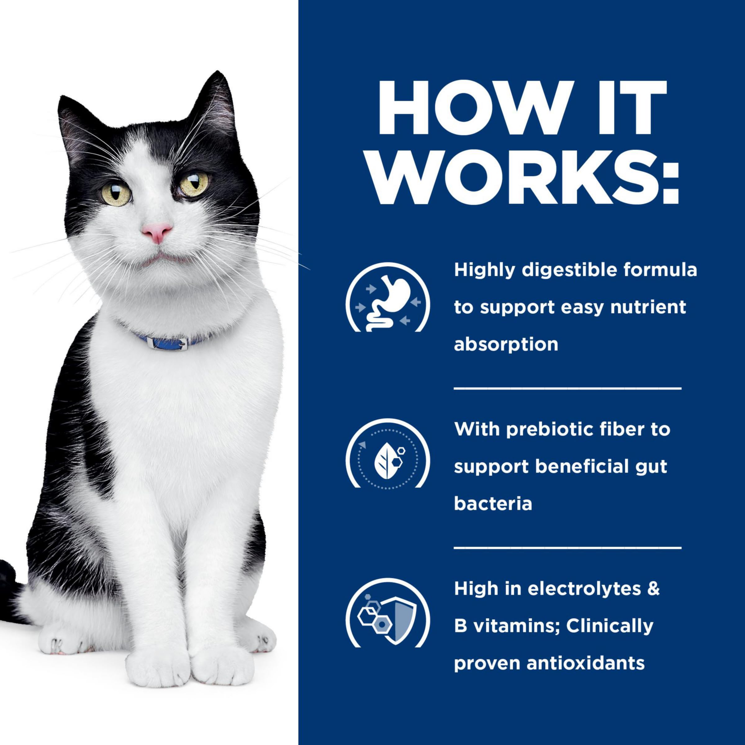 Recomendación veterinaria de Hill's i/d para gatos adultos