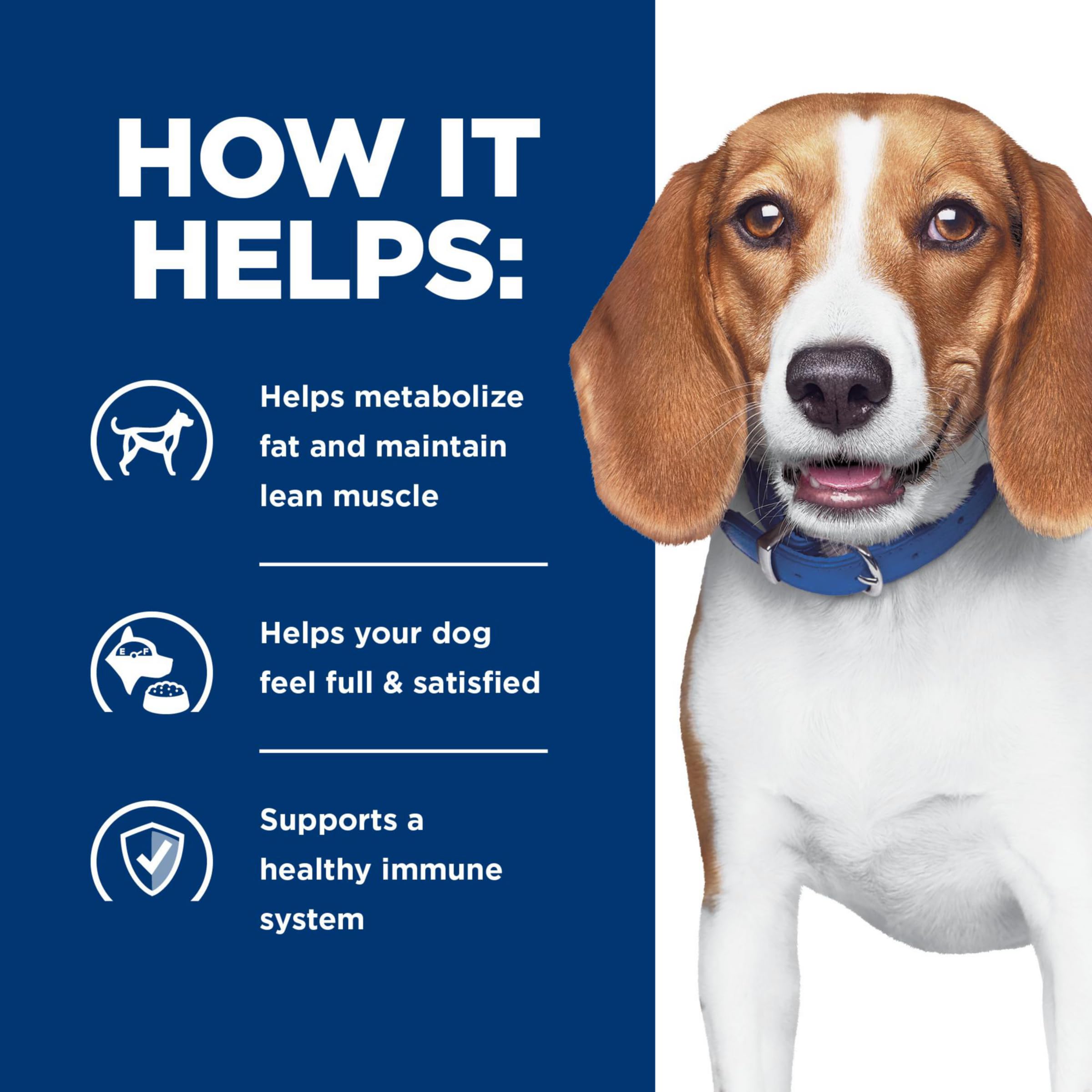 Consulta veterinaria con Hill's Prescription Diet RD.