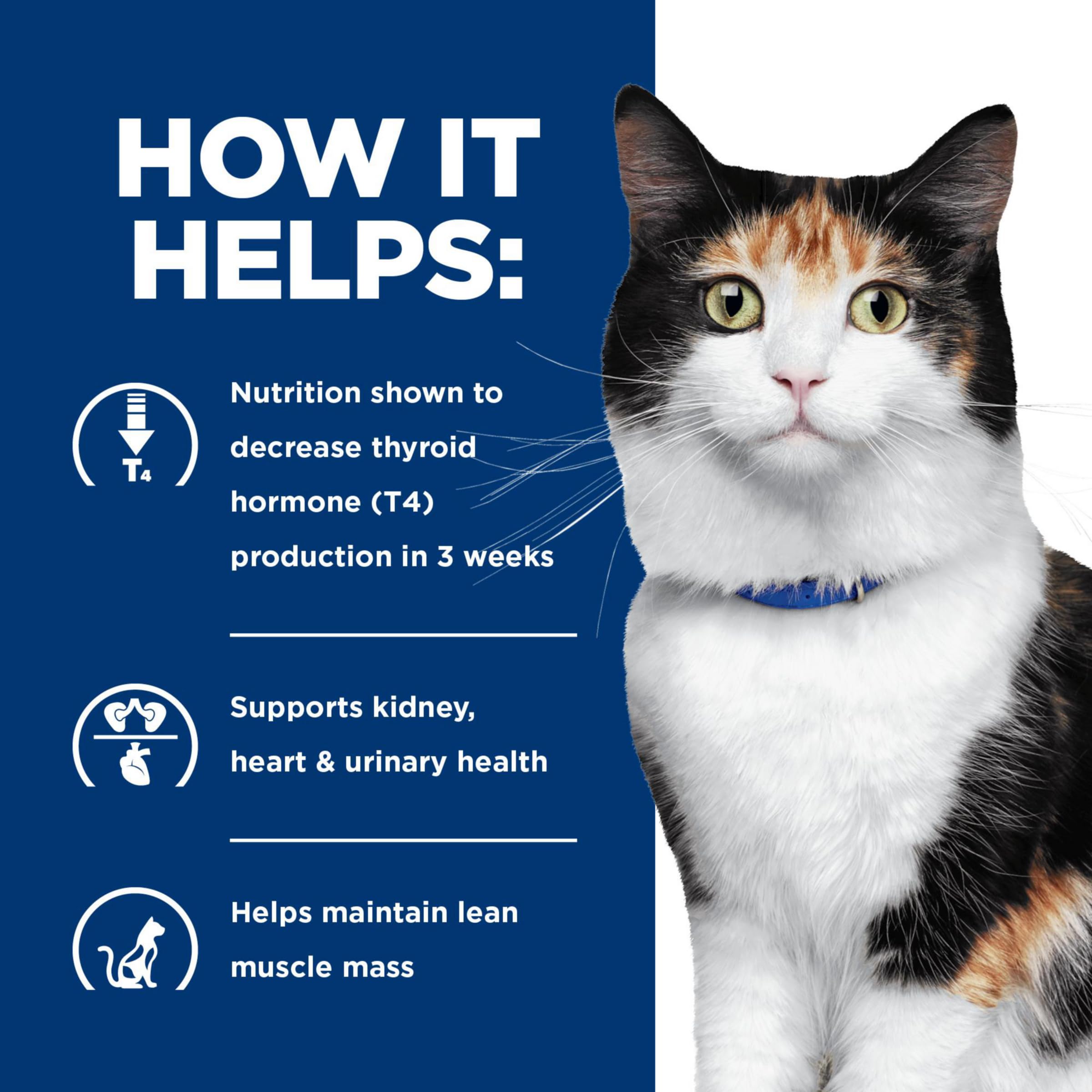 Guía veterinaria para Hill's y/d y la dieta del gato.