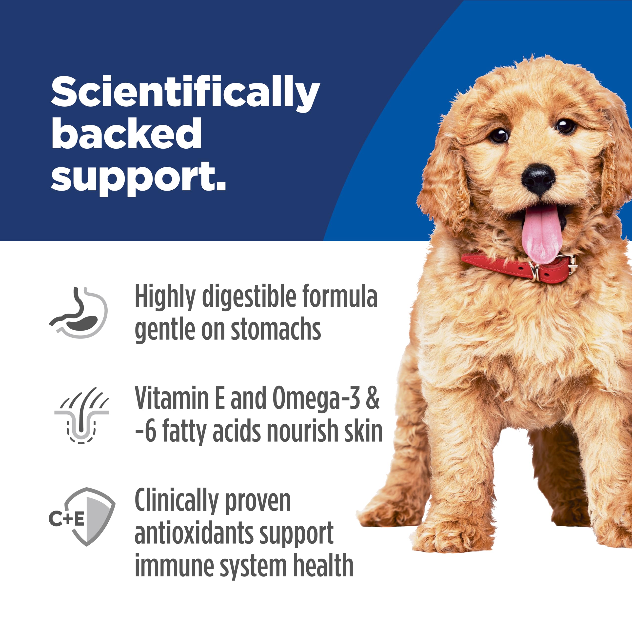 Hill's Science Diet cachorros DHA para desarrollo cerebral y ojos salmon-arroz