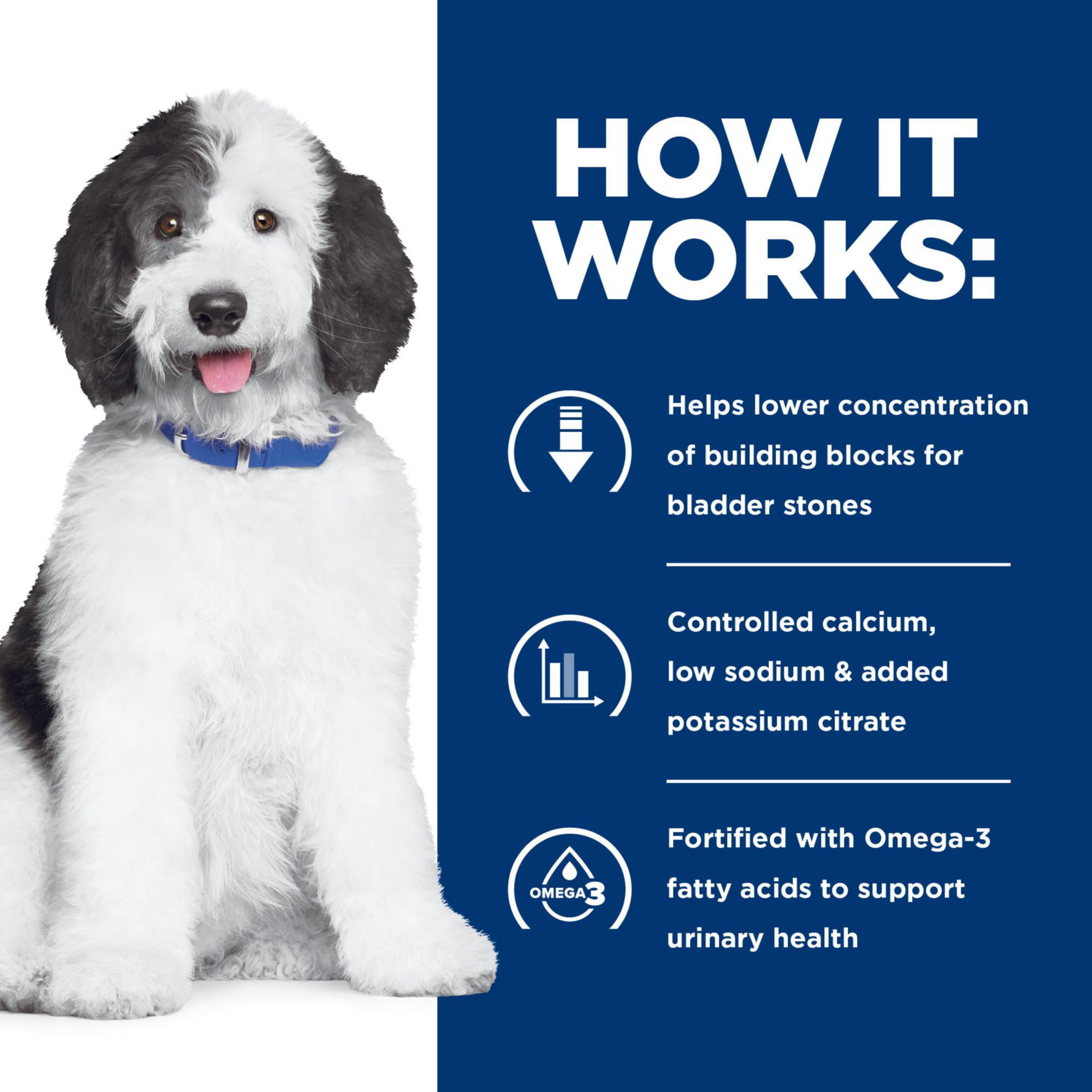 Hill's Prescription Diet c/d Multicare consulta veterinaria para adecuación