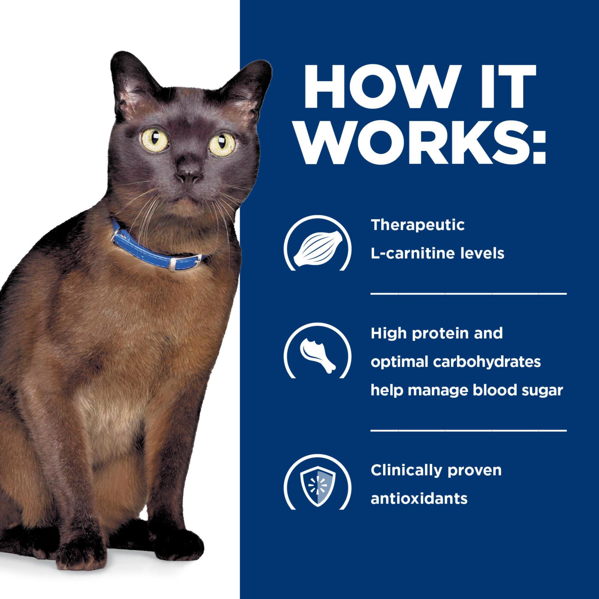 Gato activo con Hill's m/d GlucoSupport para vida diaria saludable.