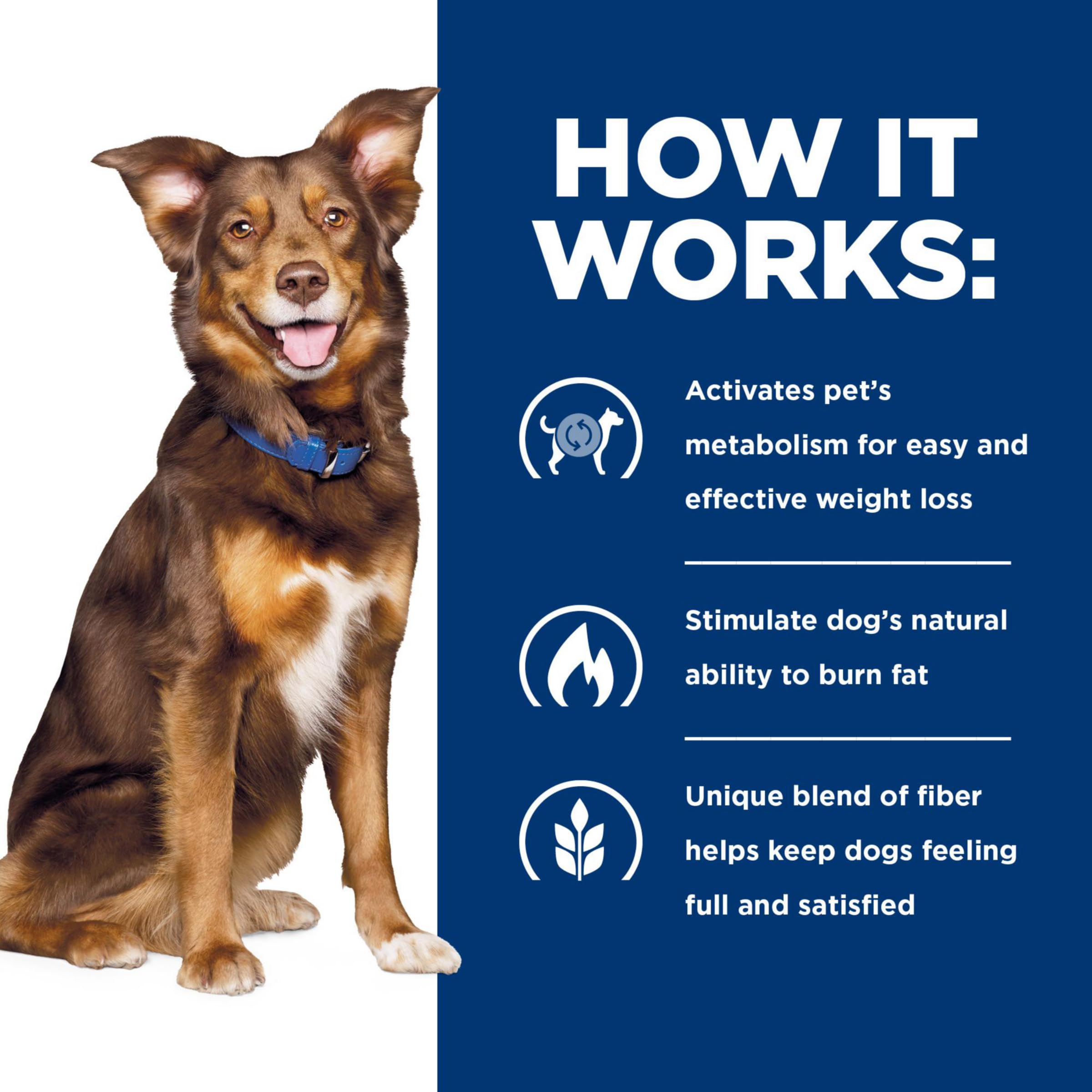 Hill's Metabolic, perro activo, apoyo a la energía durante el juego.