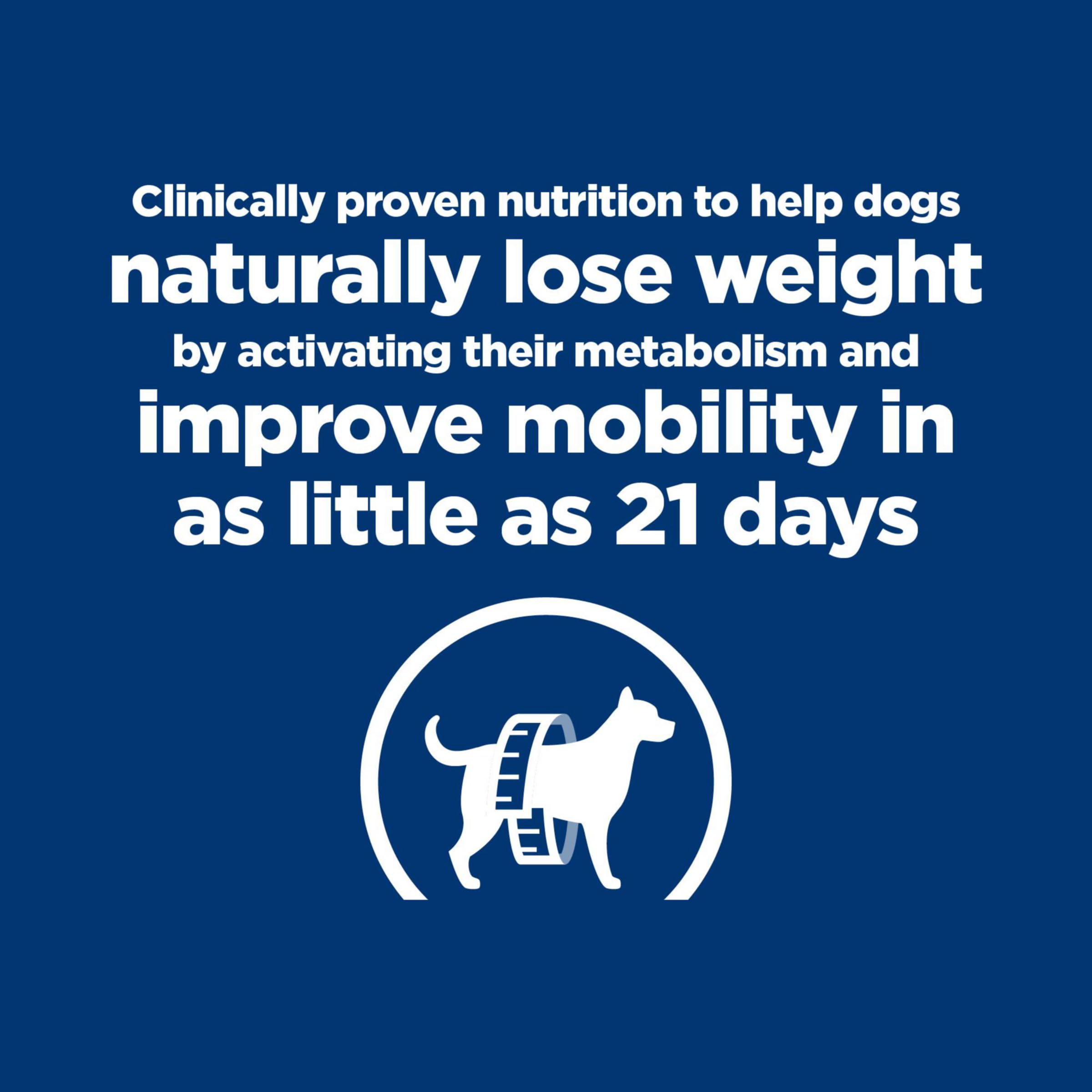 Hill's Metabolic + Mobility: perro comiendo, experiencia agradable durante la comida.