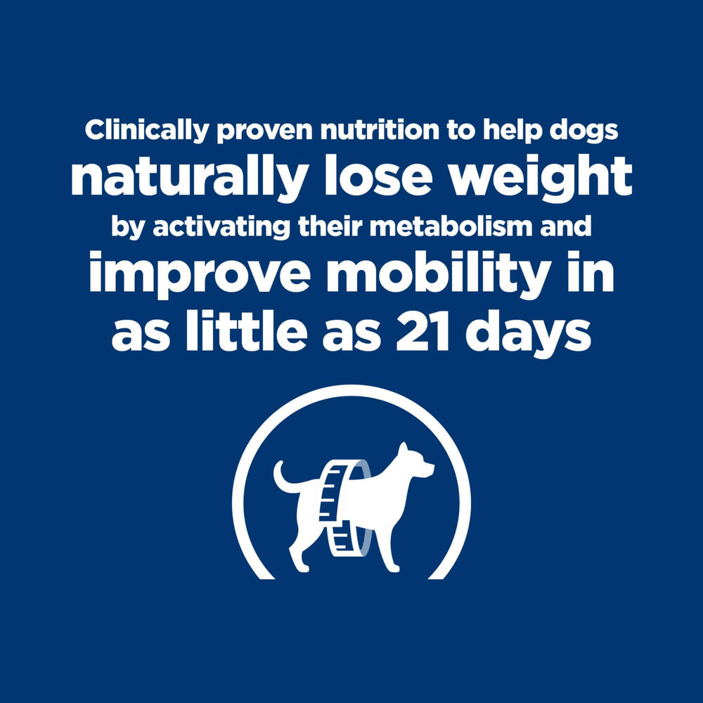 Hill's Metabolic + Mobility: perro comiendo, experiencia agradable durante la comida.