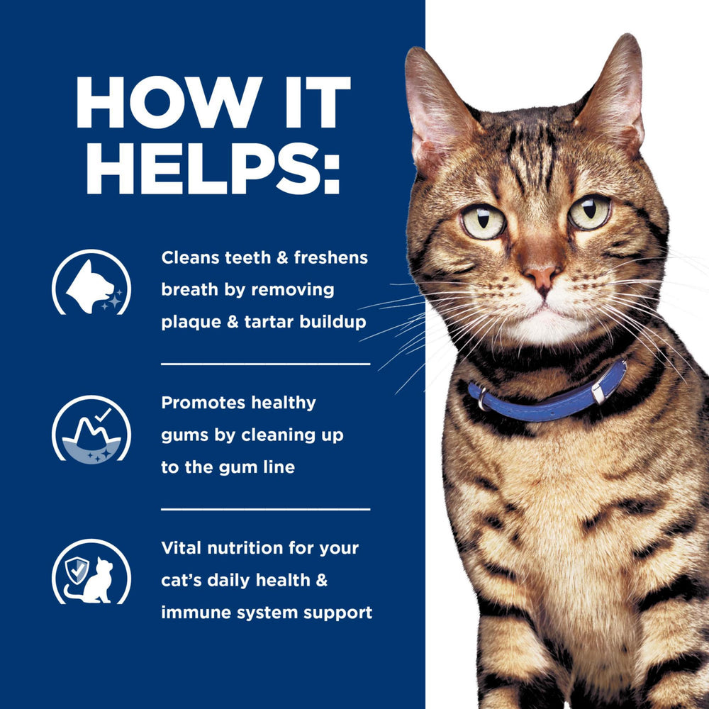 Hill's Prescription Diet t/d aprobado por veterinarios