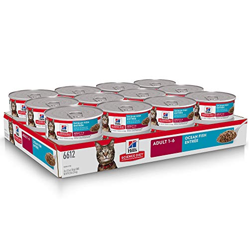 Hill's Science Diet Adult 1-6, frente de lata mostrando formato y contenido