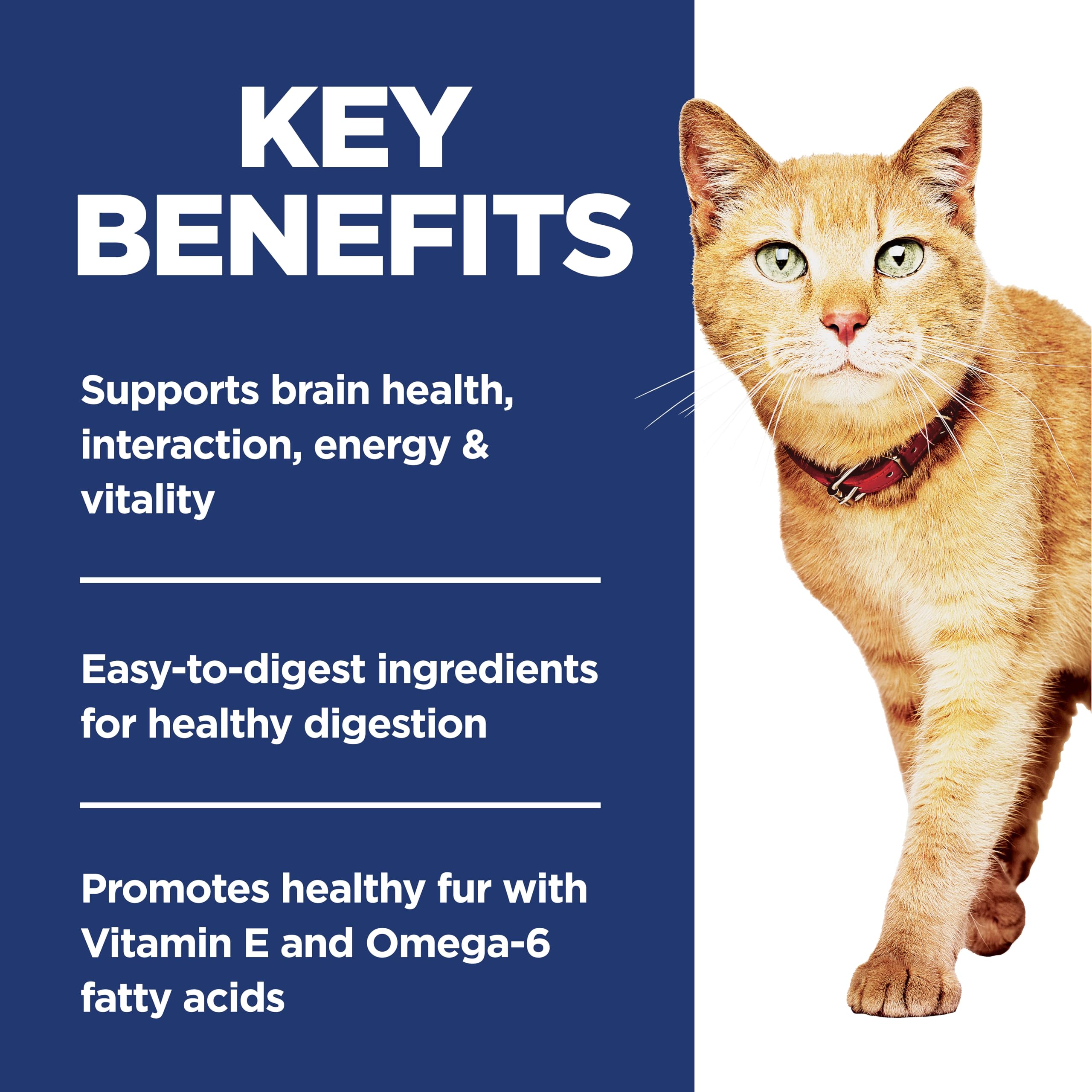 Gato comiendo Hill's Science Diet Adult 7+ Senior Vitality