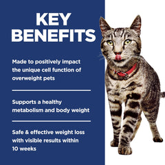 Hill's Science Diet Adult Perfect Weight con mínimo de minerales y nutrición balanceada.