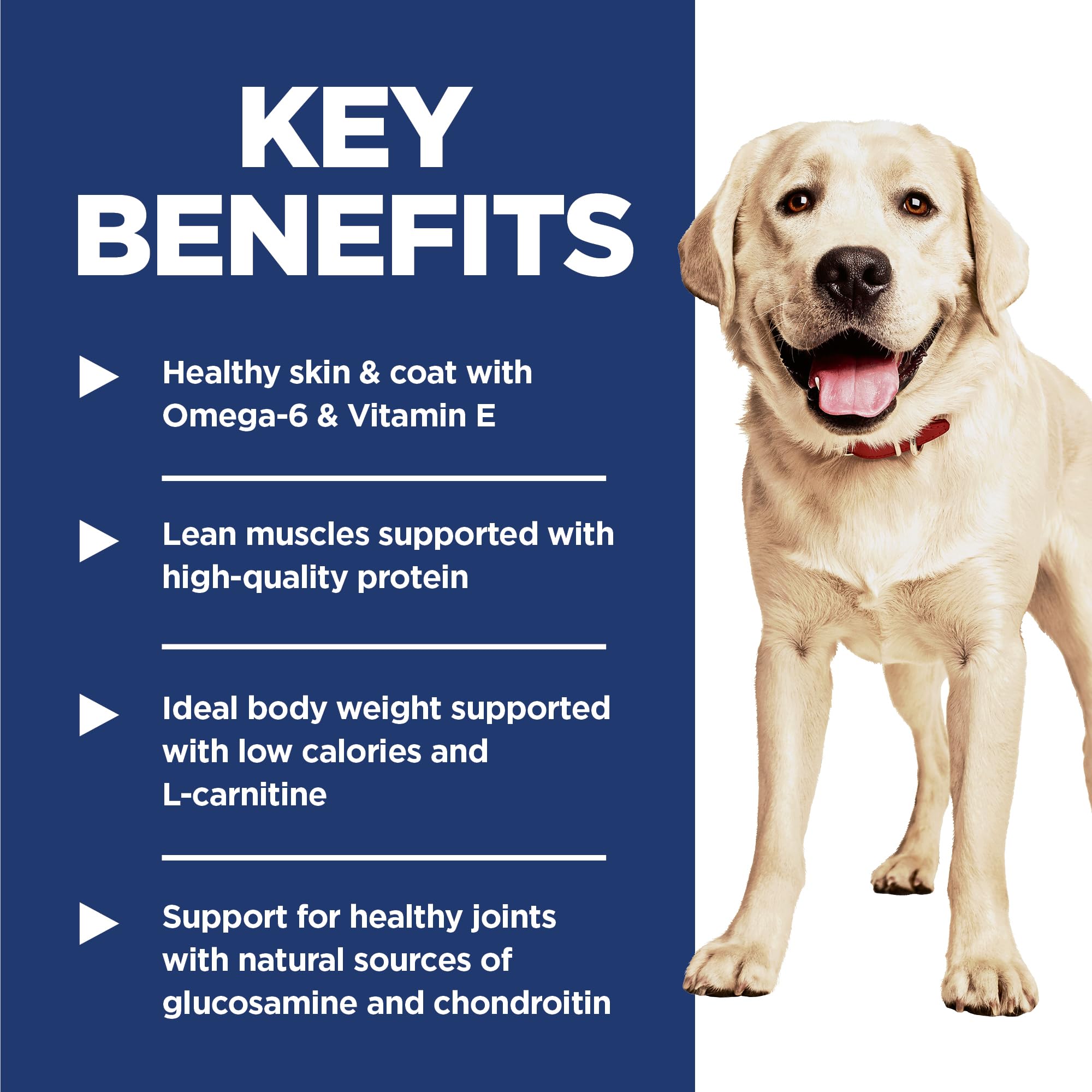 Hill's Science Diet carnitina para peso ideal: favorece peso equilibrado.
