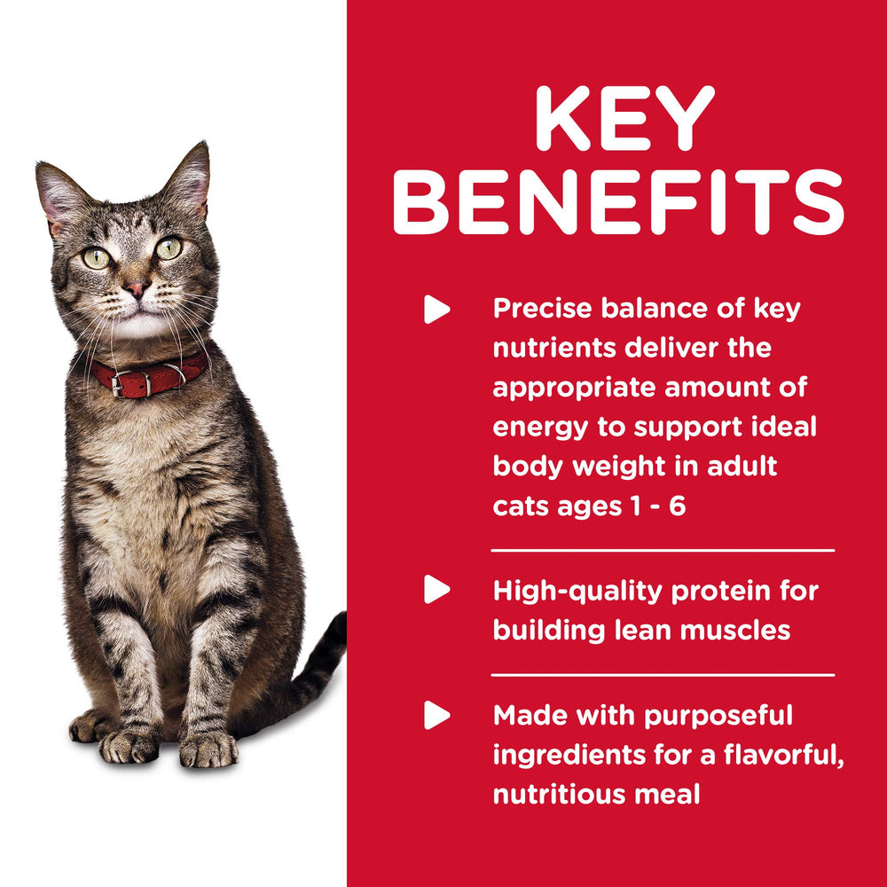 Hill's Science Diet Adulto 1-6 – comida servida en tazón para gato