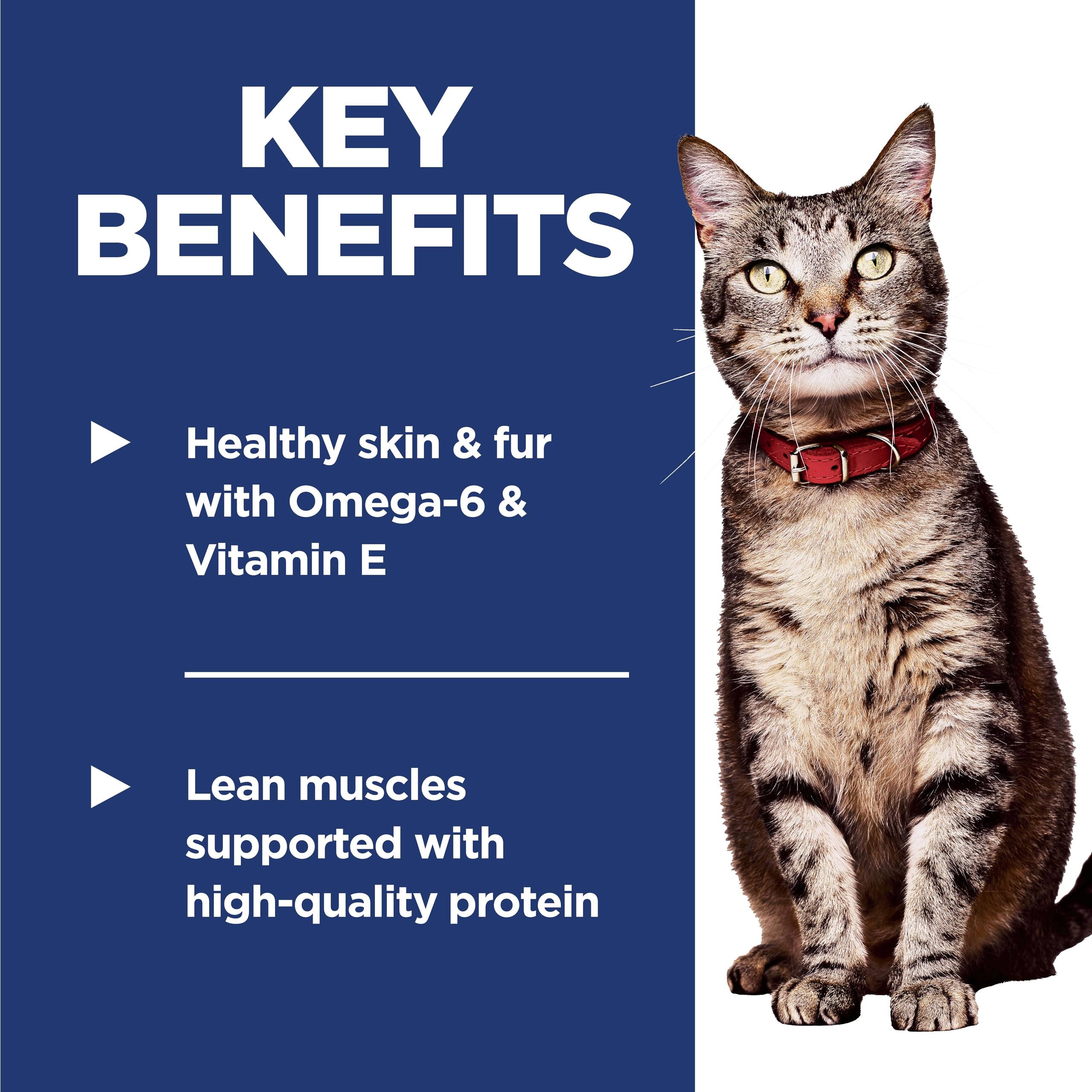 Hill's Science Diet ActivBiome+ Multi-Benefit: beneficios de prebióticos para digestión.