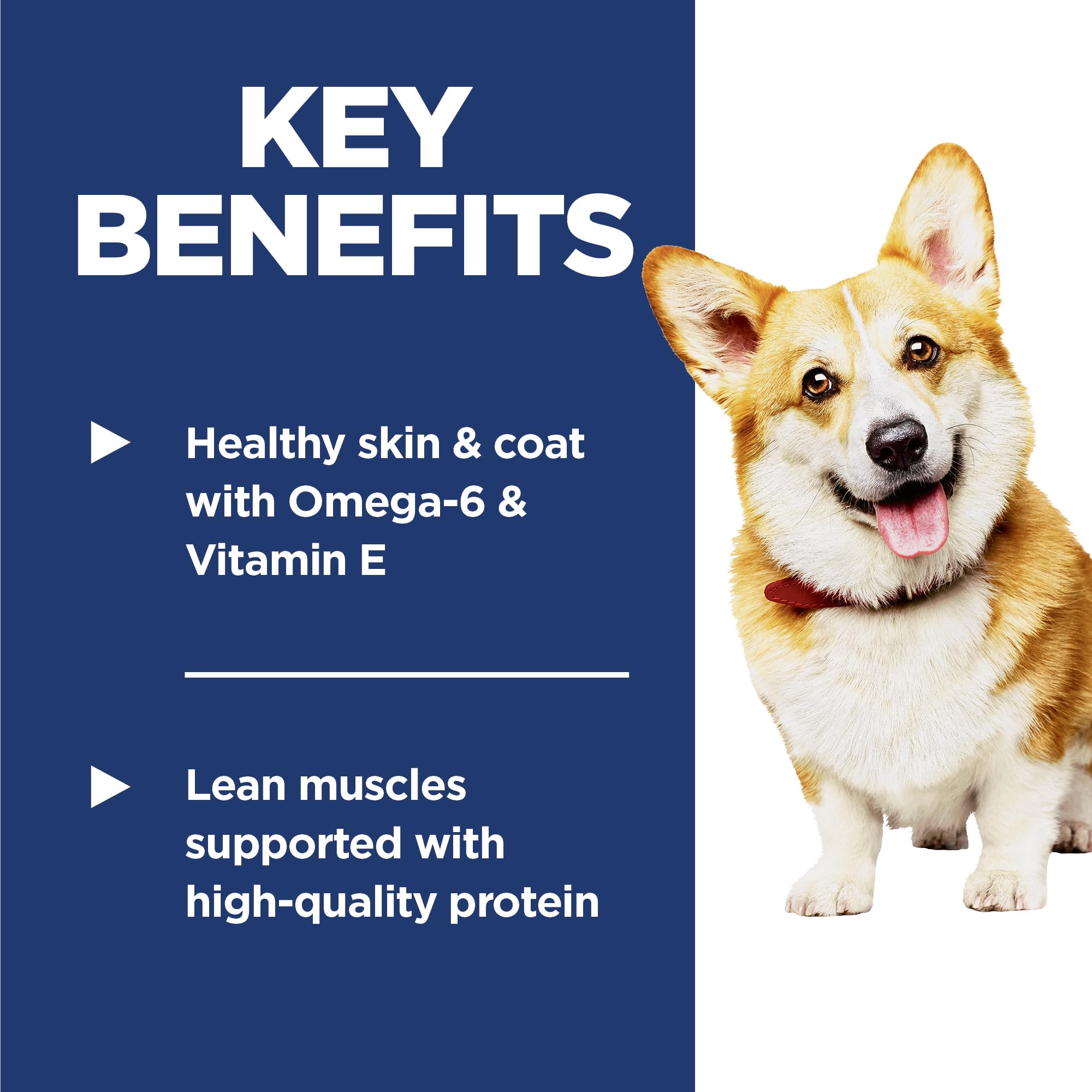 Hill's Science Diet Adulto 1-6, piel y pelaje brillantes por Omega-6 y vitamina E.