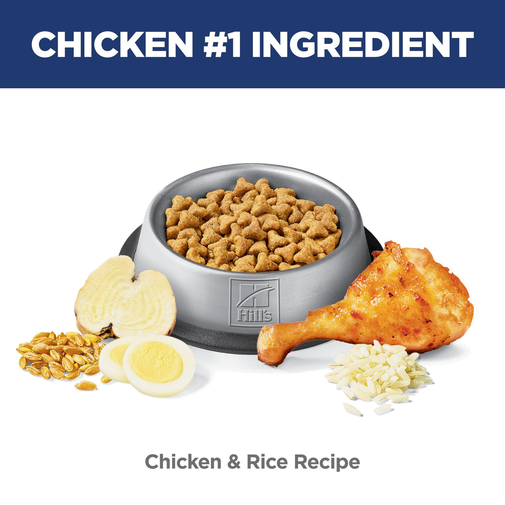 Pollo real en Hill's Science Diet para mantenimiento muscular de gatos