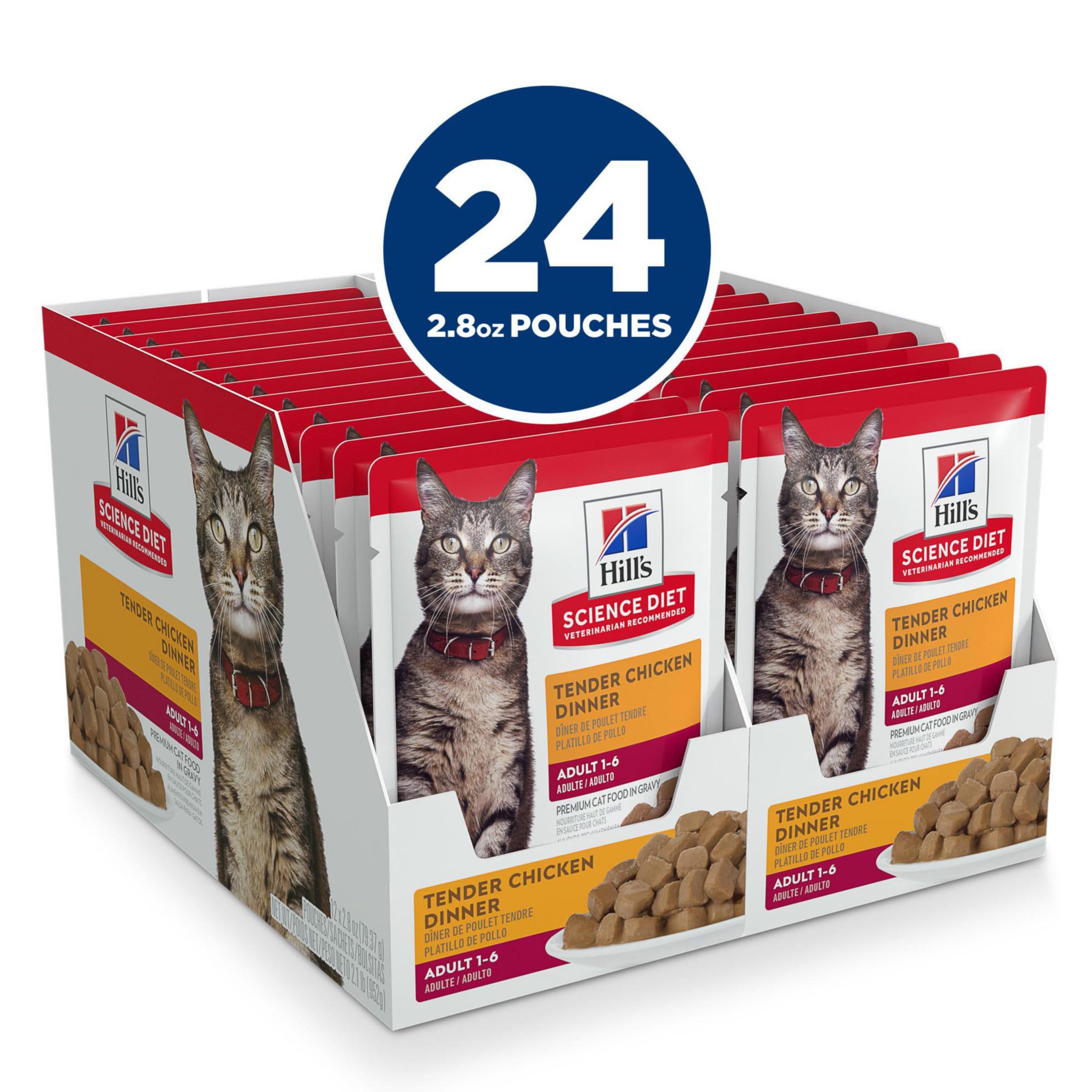 Hill's Science Diet Adultos 1-6: pollo tierno en tazón, comida sabrosa para gato.
