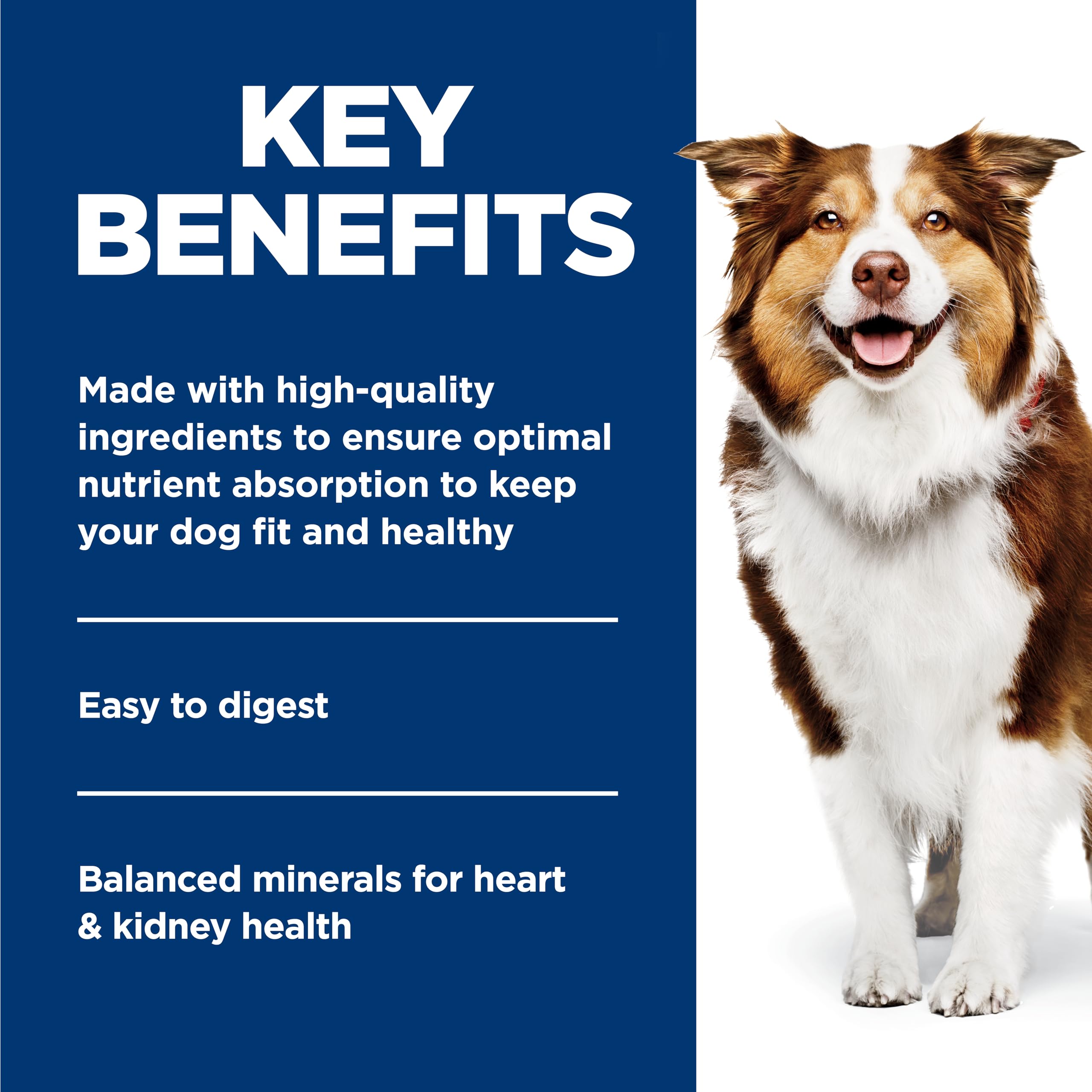 Perro comiendo Hill's Science Diet Adult 7+ en casa, textura suave