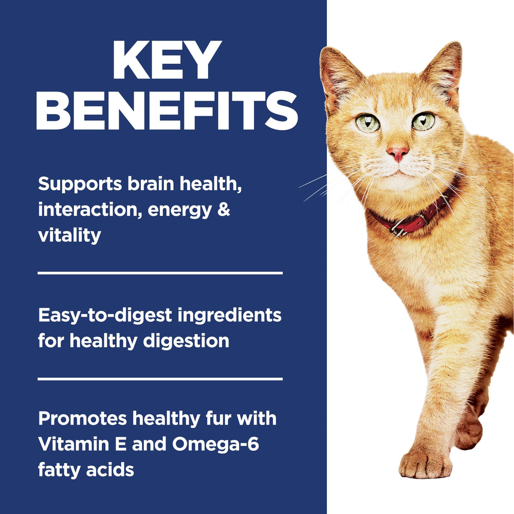 Gato comiendo Hill's Science Diet con digestión suave
