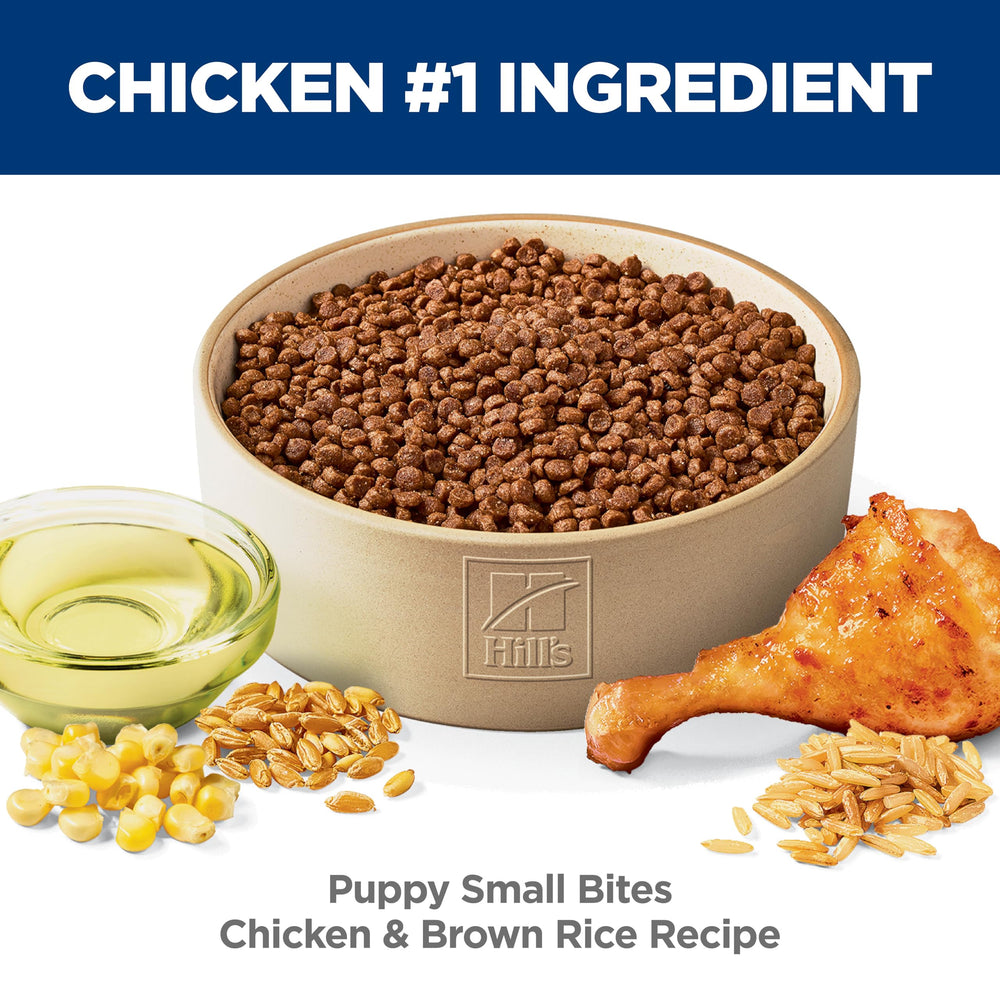 Croquetas crujientes de Hill's Science Diet para perros pequeños