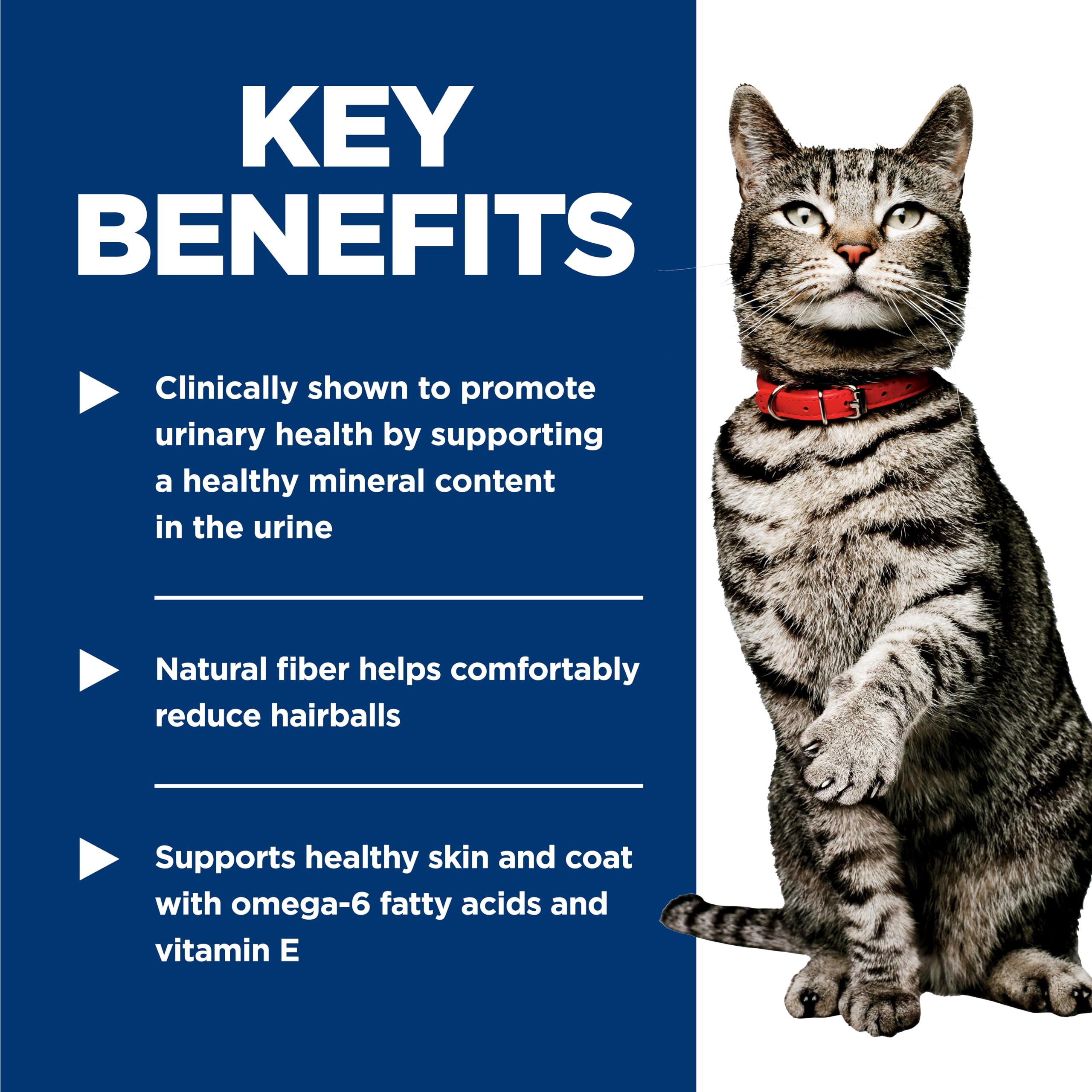 Hill's Science Diet ingrediente natural para alimentación diaria de gatos.