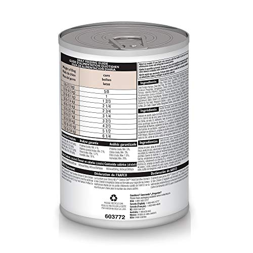 Hill's Science Diet estómago-piel porcion en cuenco, presentado para comer diario.