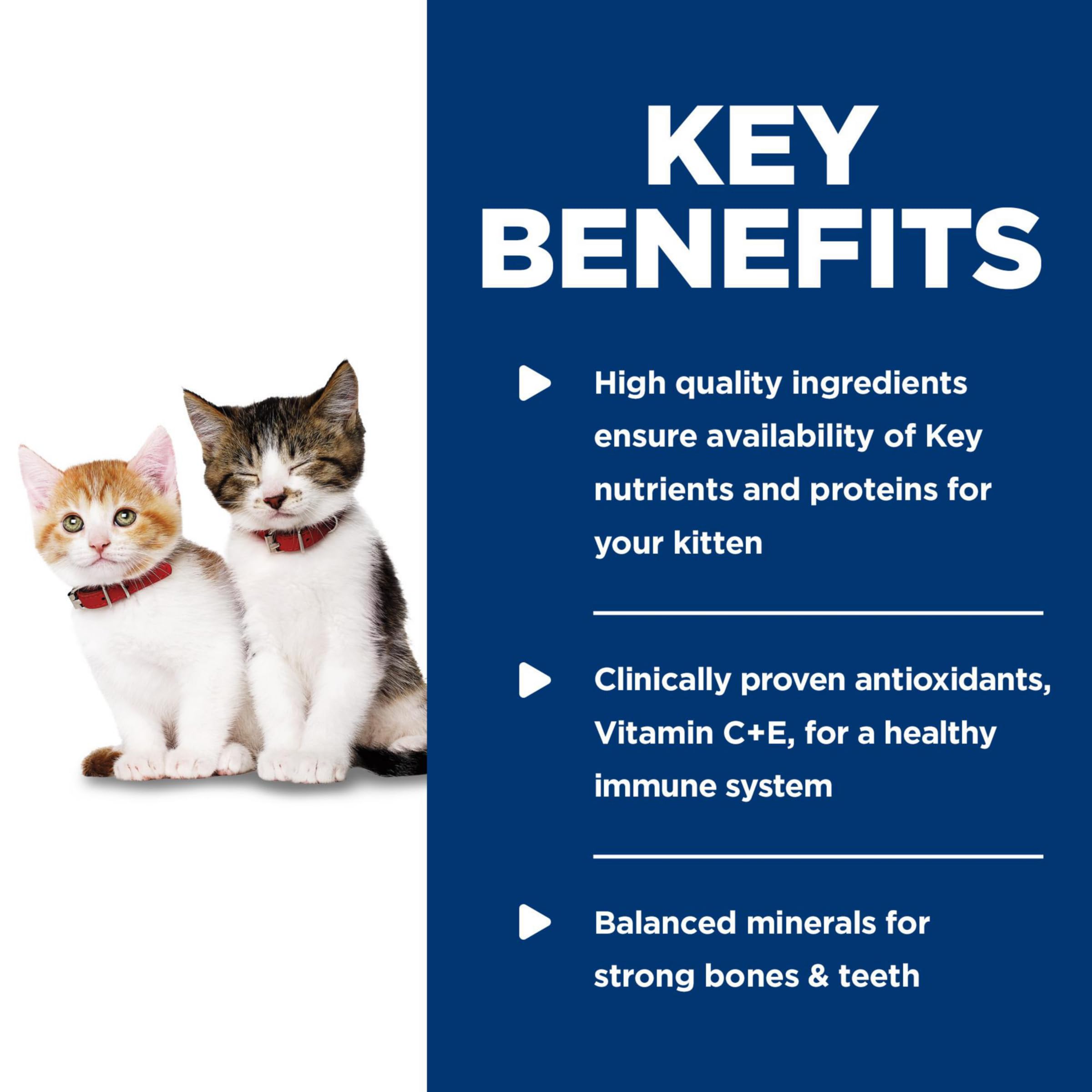 Hill's Gatito alimento húmedo con minerales para dientes y huesos