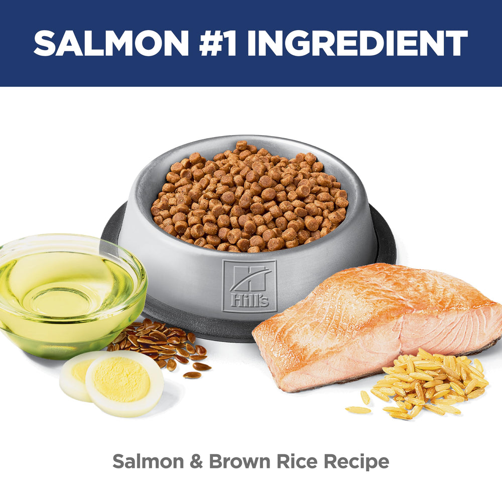 Hill's Science Diet Gatito proteína de alta calidad para músculos