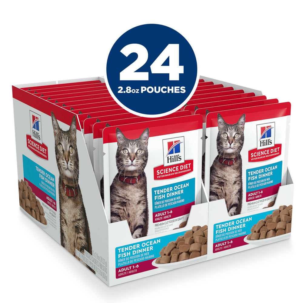 Gato disfruta la salsa sabrosa de Hills Science Diet Gato Adulto 1-6 para nutrición diaria