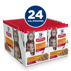 Hill's Science Diet Gato Adulto bolsa salsa cremosa, experiencia de comida gourmet.