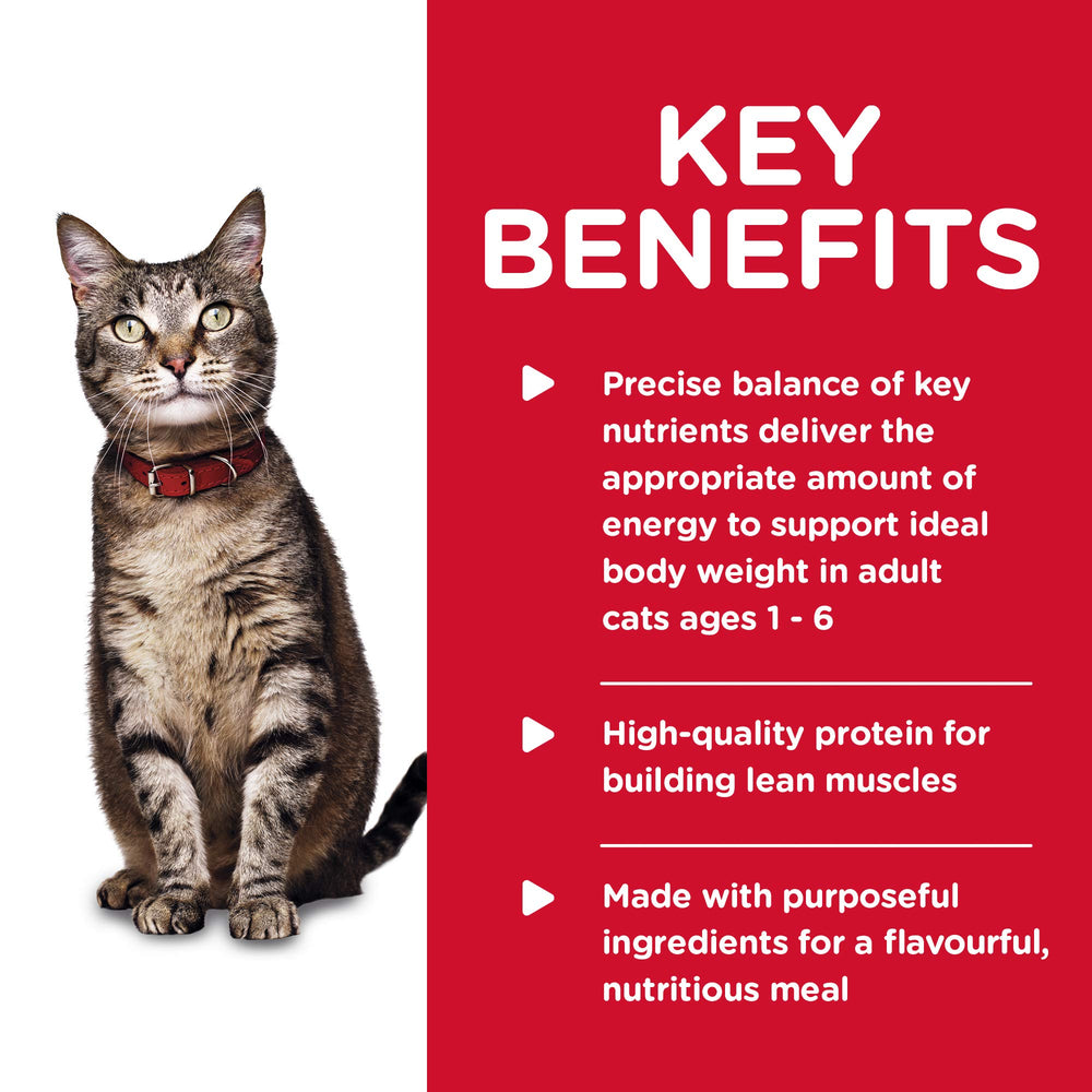 Hill's Science Diet gato adulto, ingredientes naturales en lata; fácil digestión para tu gato.