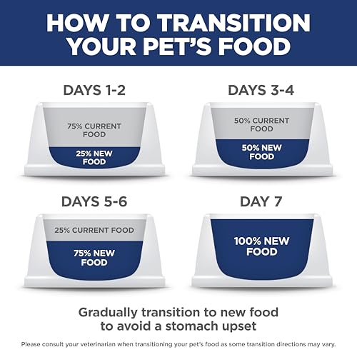 Hill's Science Diet Gato: envase resistente para almacenamiento seguro.