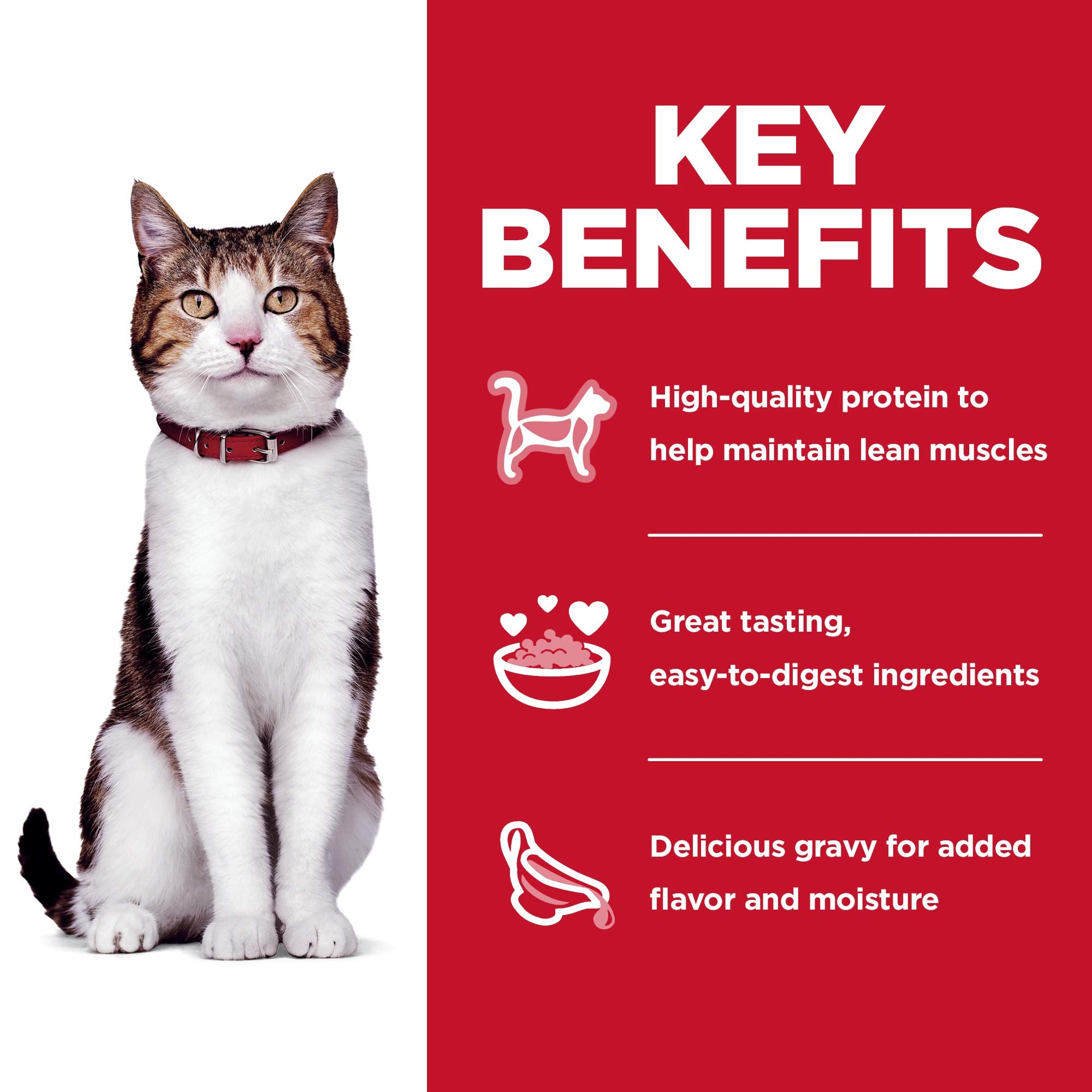 Proteína de alta calidad para gatos adultos 7+, en sachet de 80 g.