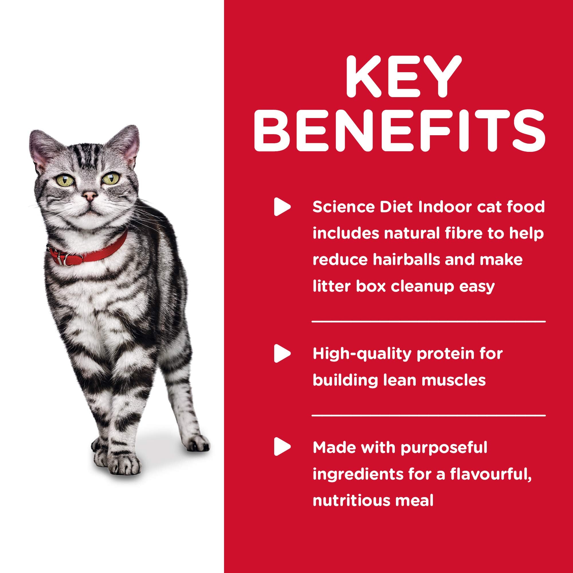 Hill's Science Diet Indoor con proteína de alta calidad para músculos magros.