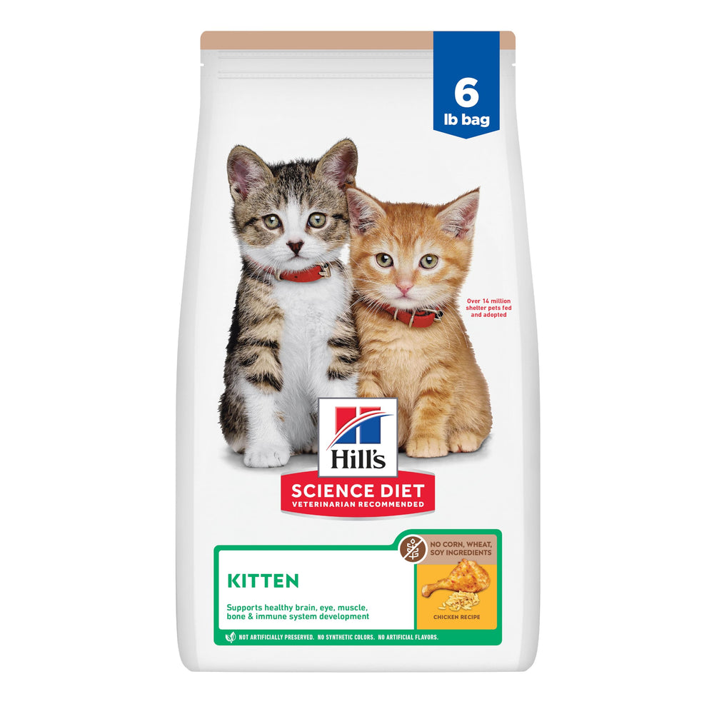 Hill's Science Diet Kitten: bolsa de alimento seco para gatitos, apoyo al crecimiento diario.