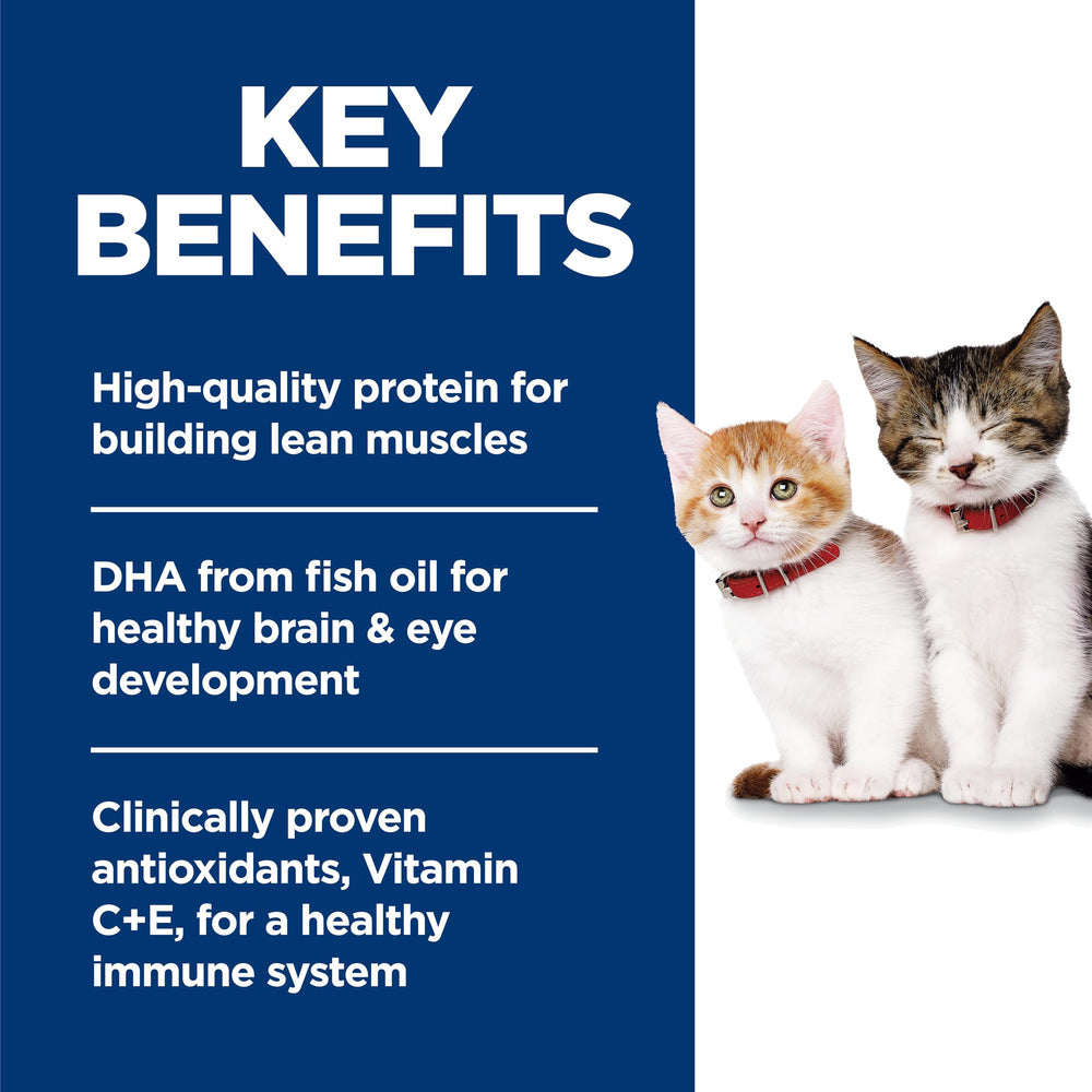 Hill's Kitten: DHA para desarrollo cerebral y visual en gatitos