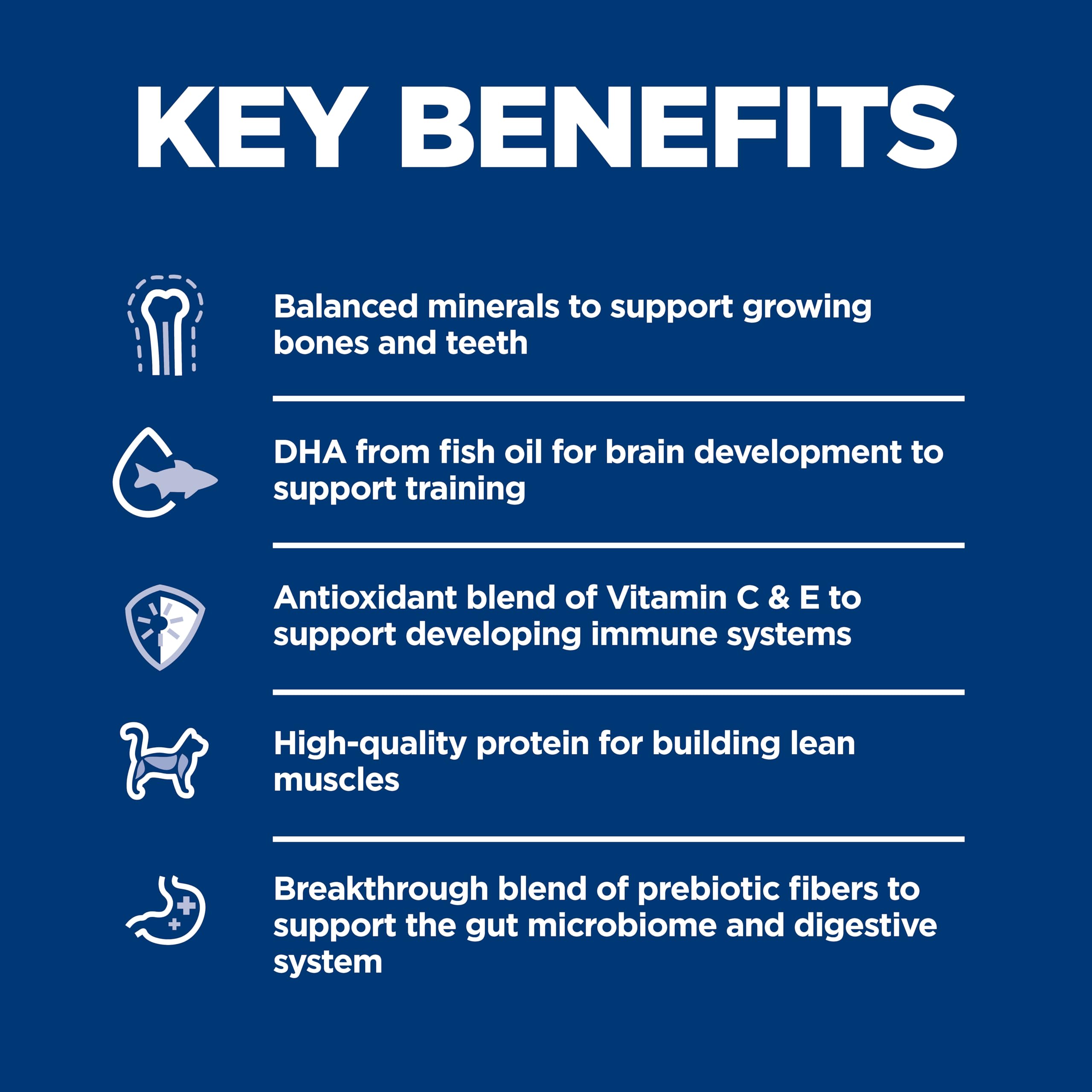 Hill's Science Diet Kitten elaborado en Estados Unidos con ingredientes globales confiables