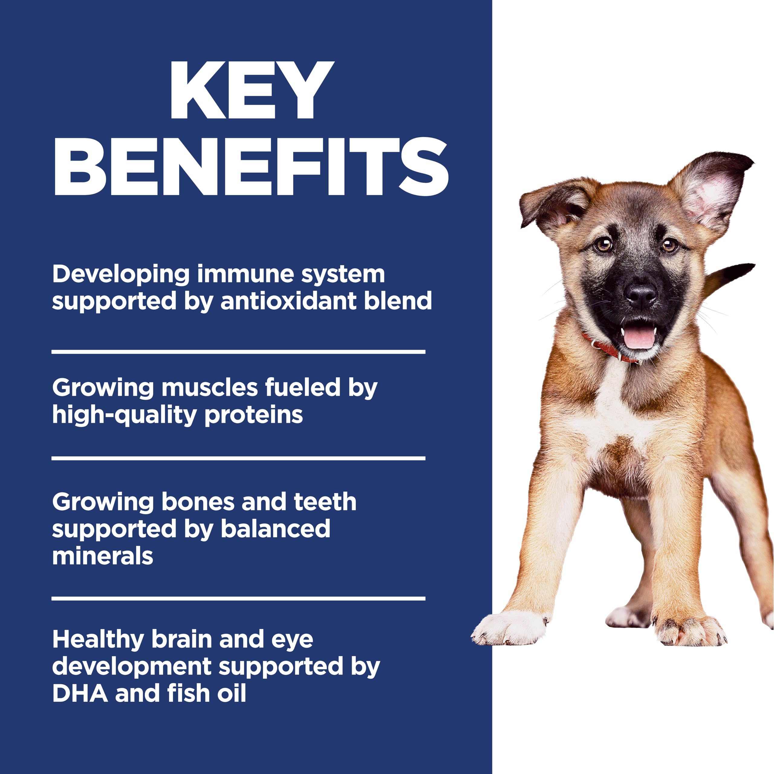 Hill's Science Diet con minerales equilibrados para huesos y dientes en desarrollo